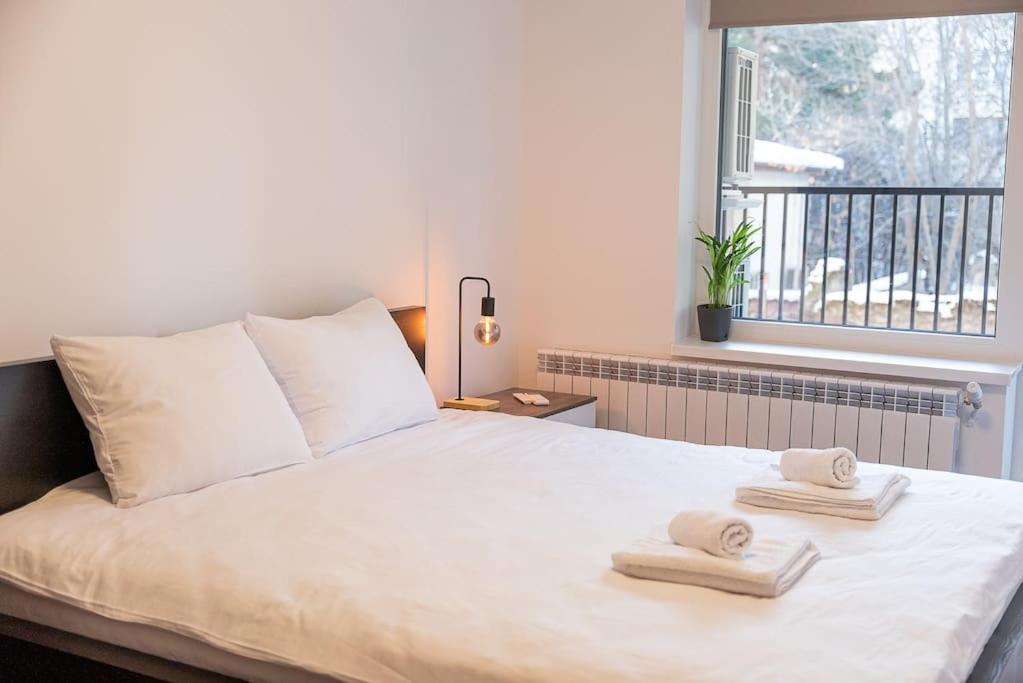 Digital Nomad Suites with Free Gym Pass and Office Setup