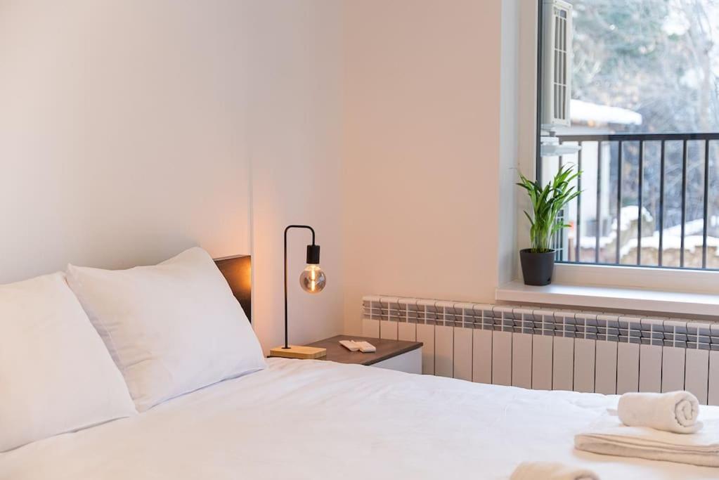 Digital Nomad Suites with Free Gym Pass and Office Setup