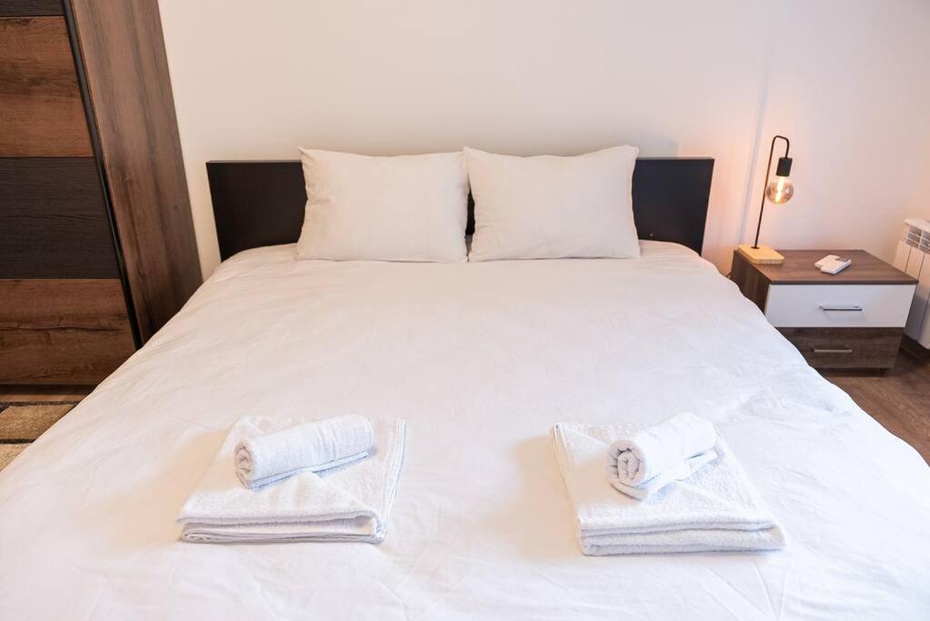 Digital Nomad Suites with Free Gym Pass and Office Setup