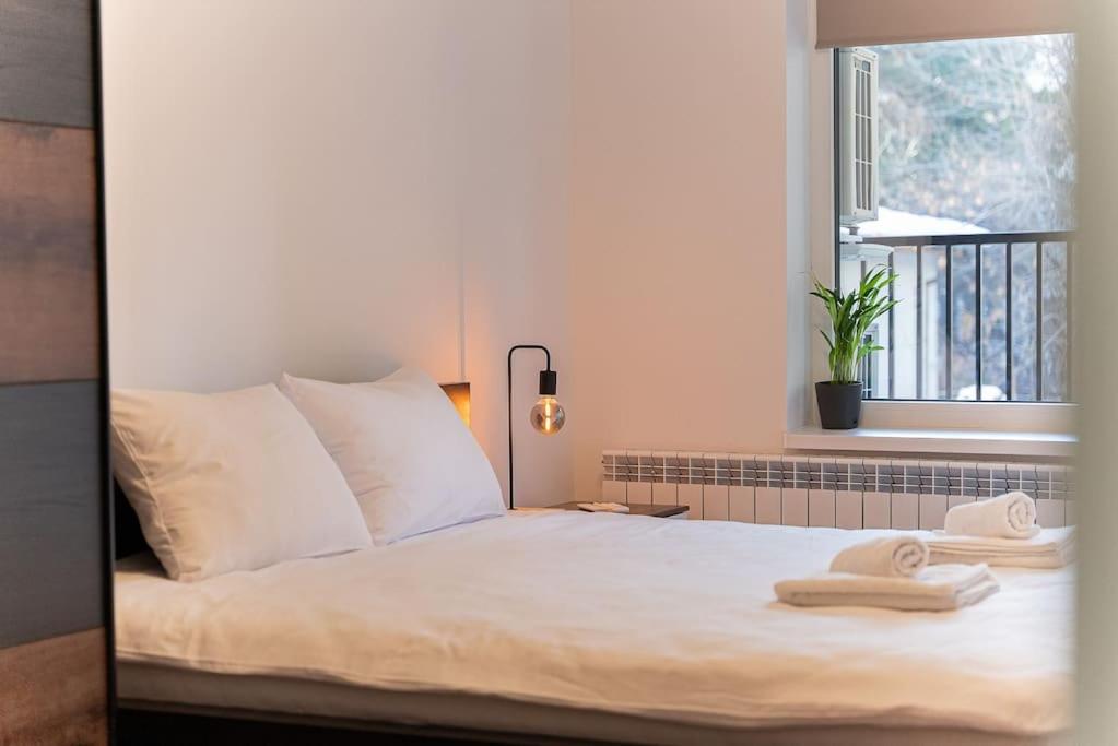 Digital Nomad Suites with Free Gym Pass and Office Setup