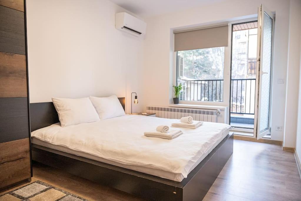 Digital Nomad Suites with Free Gym Pass and Office Setup