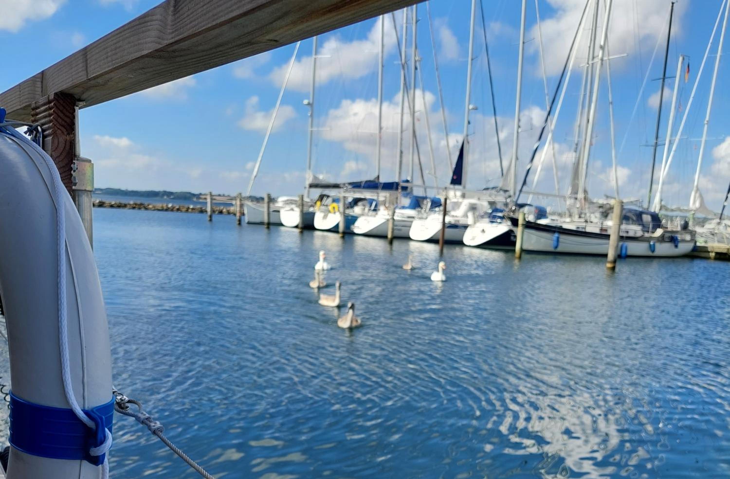 Hausboot Hecht