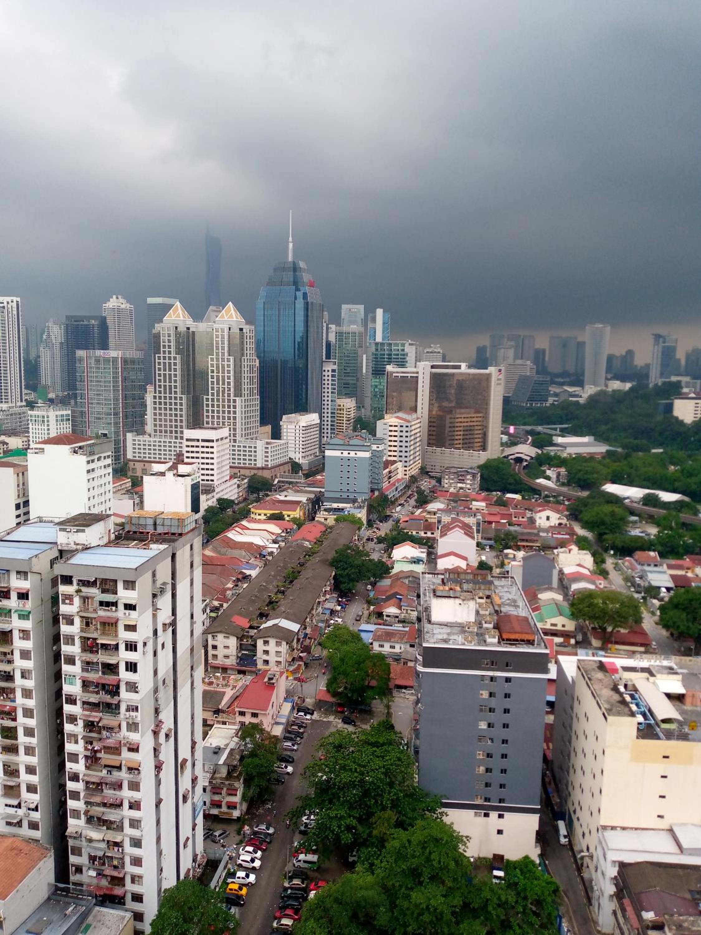 Chamber Starling by klcc