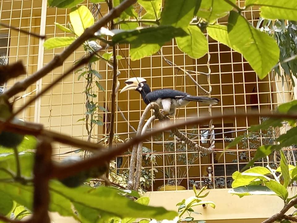 Devi music ashram view 4