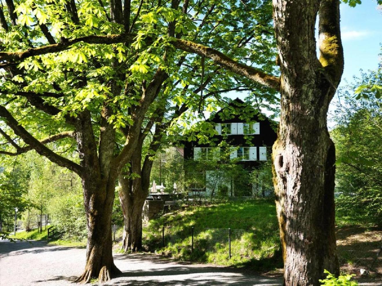 B&B Langenberg view 5