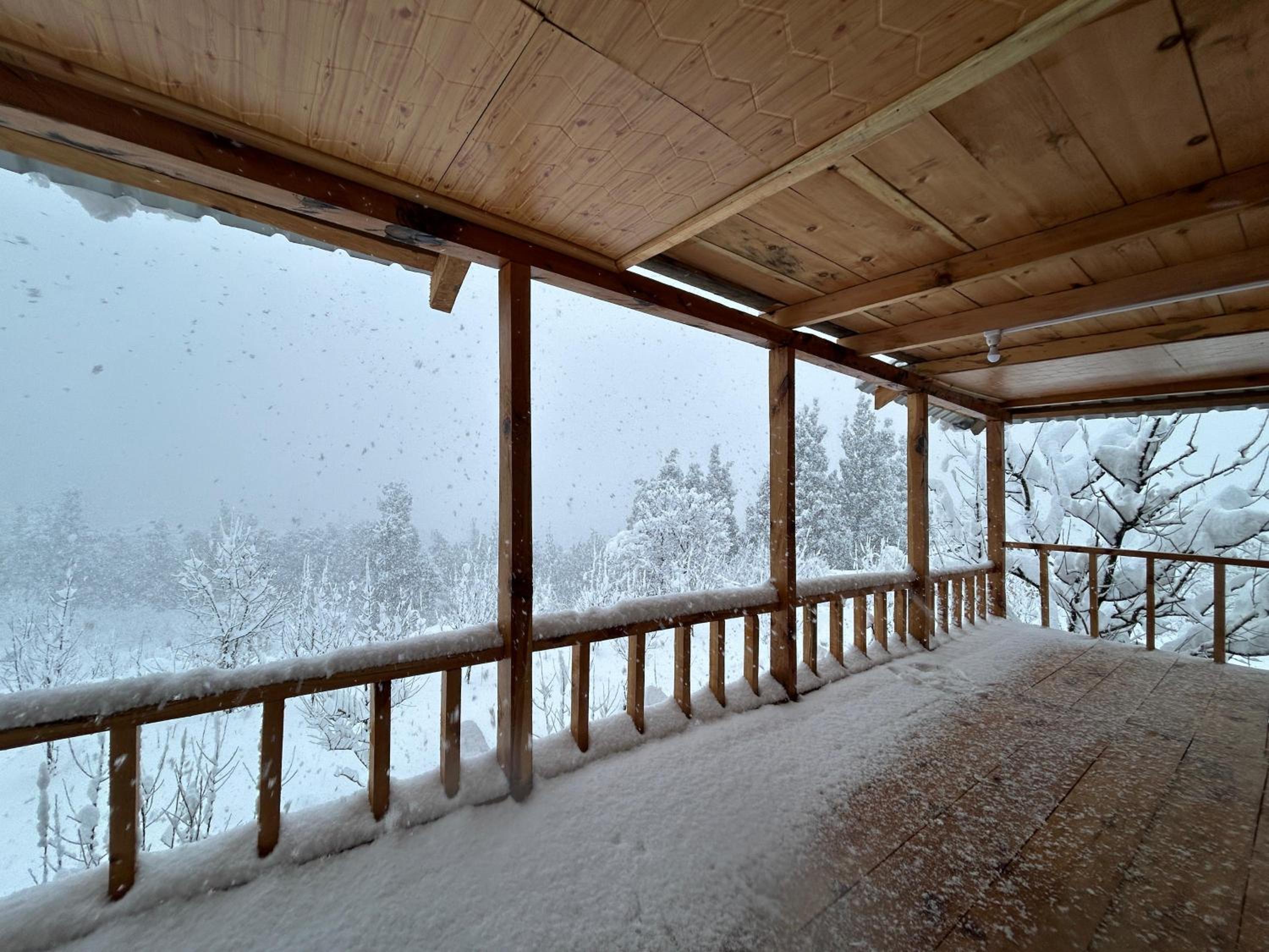 Woodstock Villa Rooms&Entirevilla Tulga