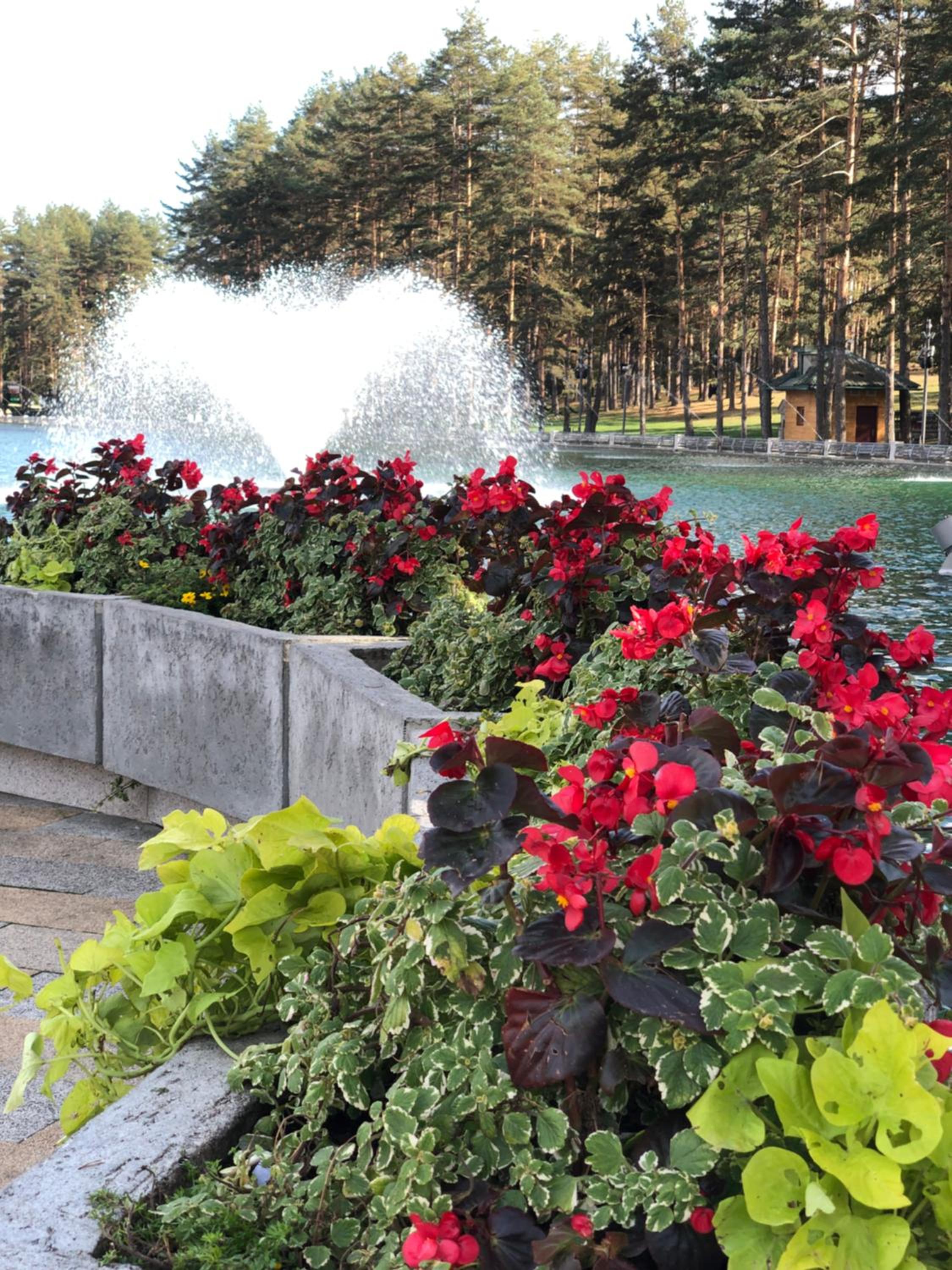 Photo 47