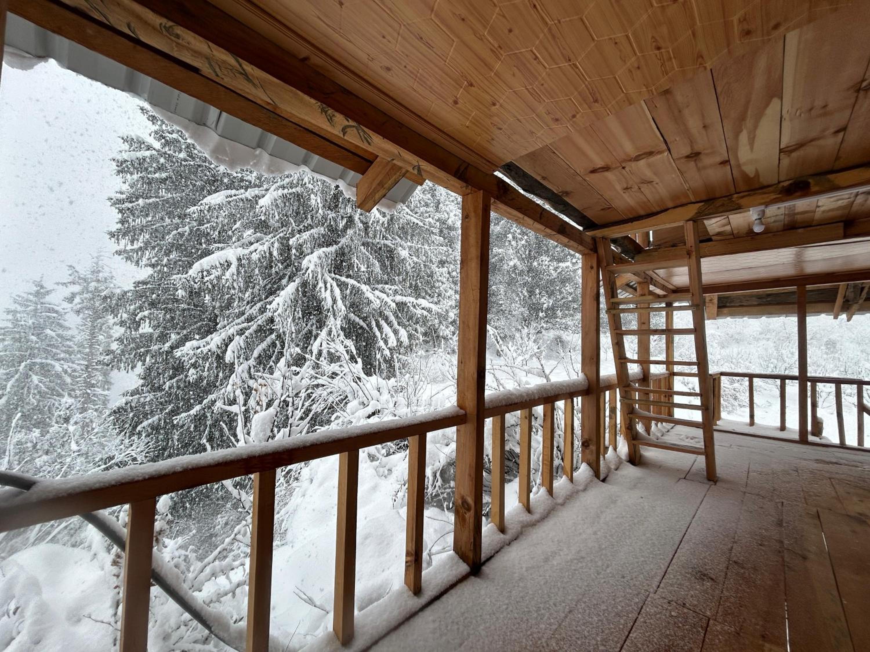 Woodstock Villa Rooms&Entirevilla Tulga