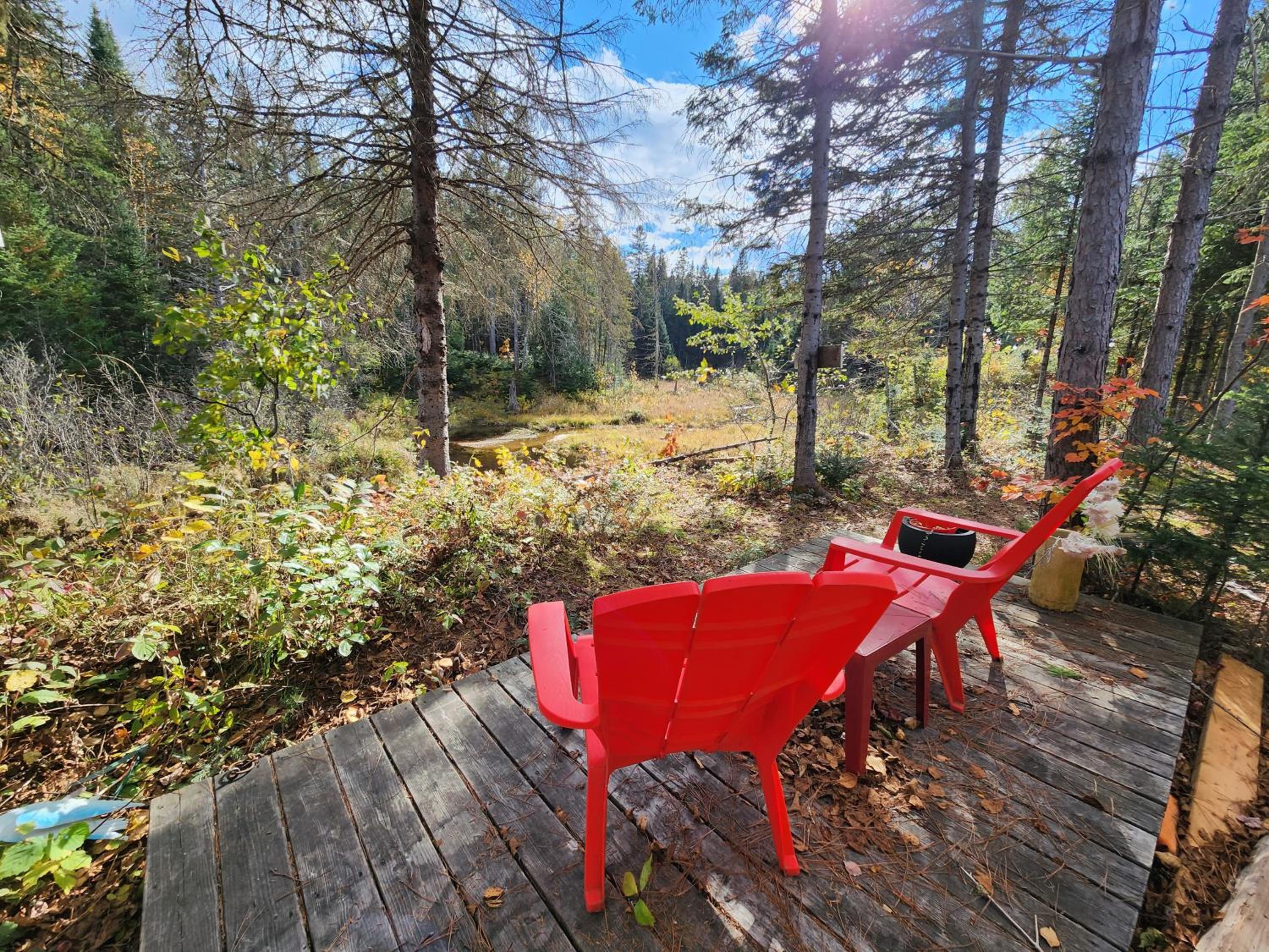 Chalets NABU La Sacacomie - Rivière - Billard