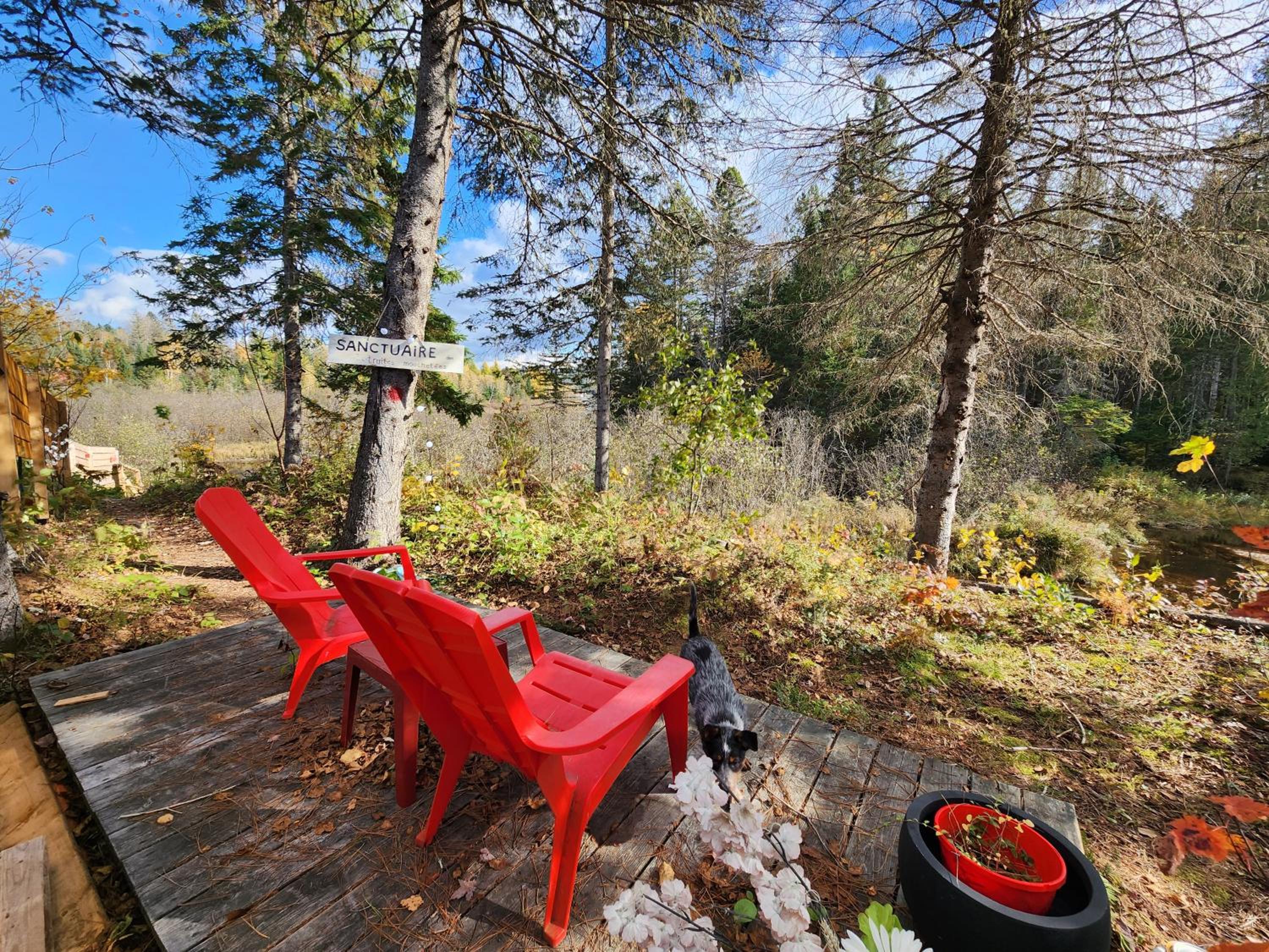 Chalets NABU La Sacacomie - Rivière - Billard