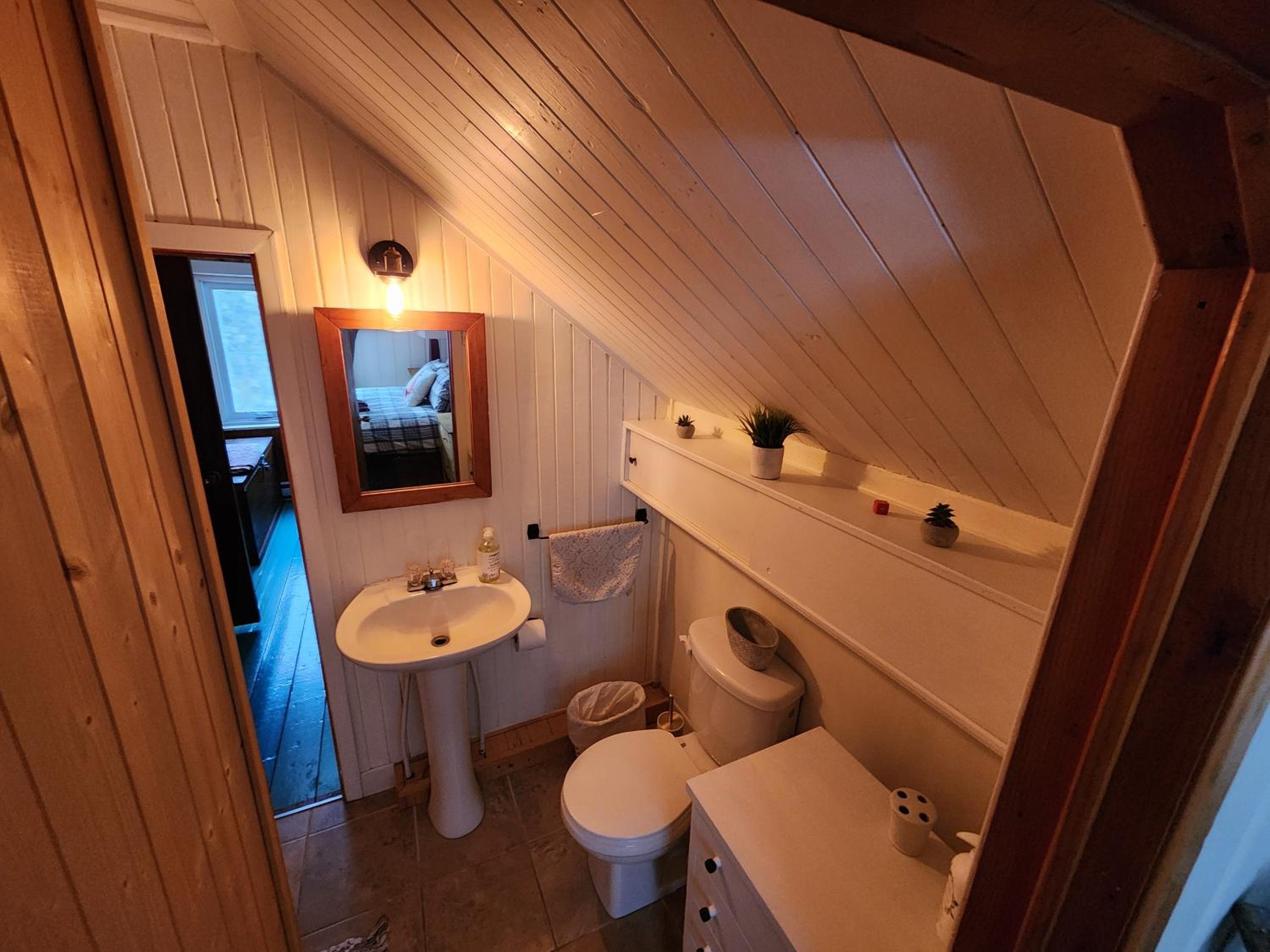 Chalets NABU La Sacacomie - Rivière - Billard