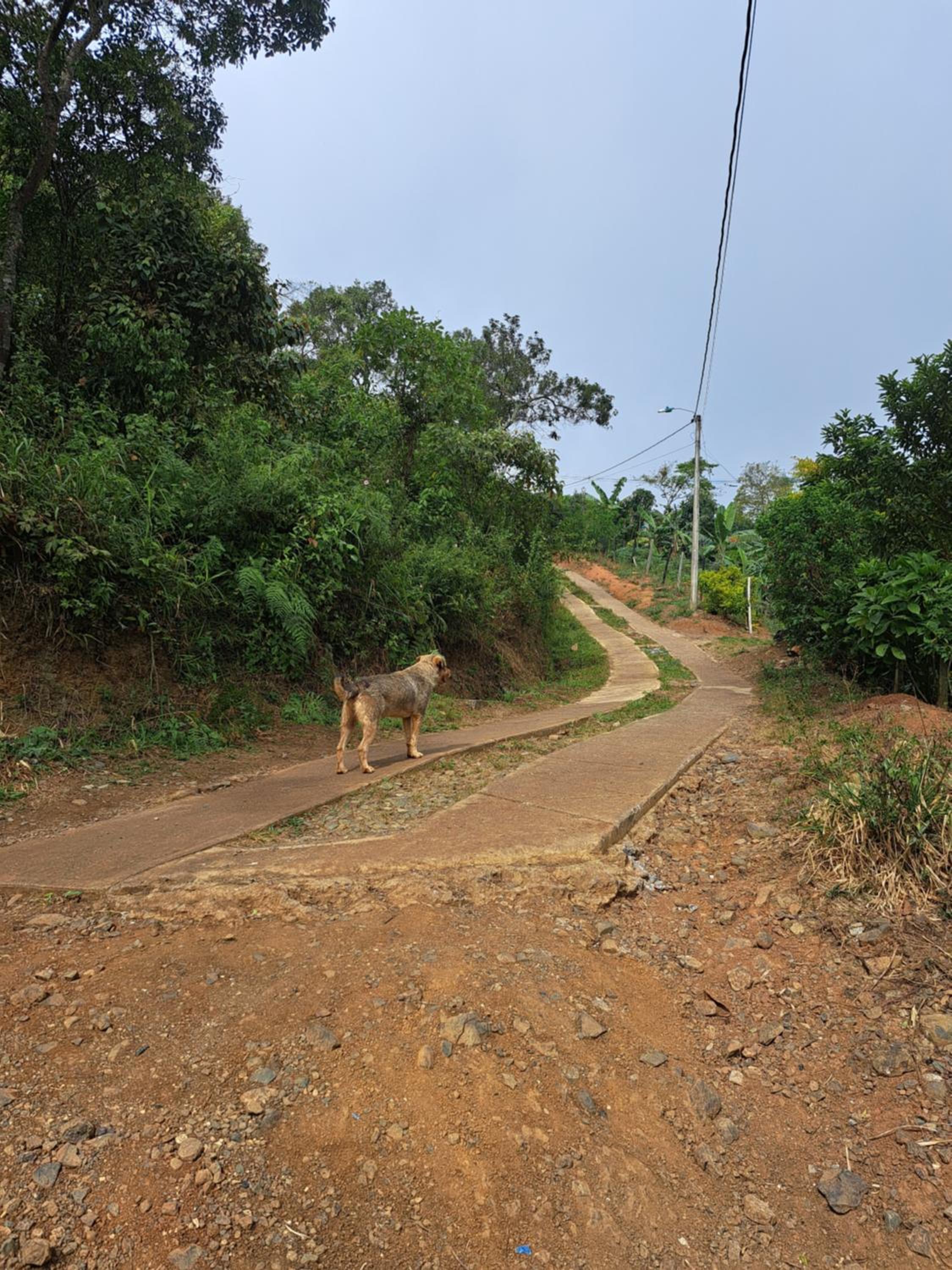 El rincón de blanquita