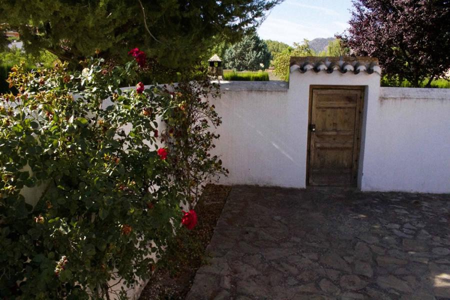 Cortijo de Abajo