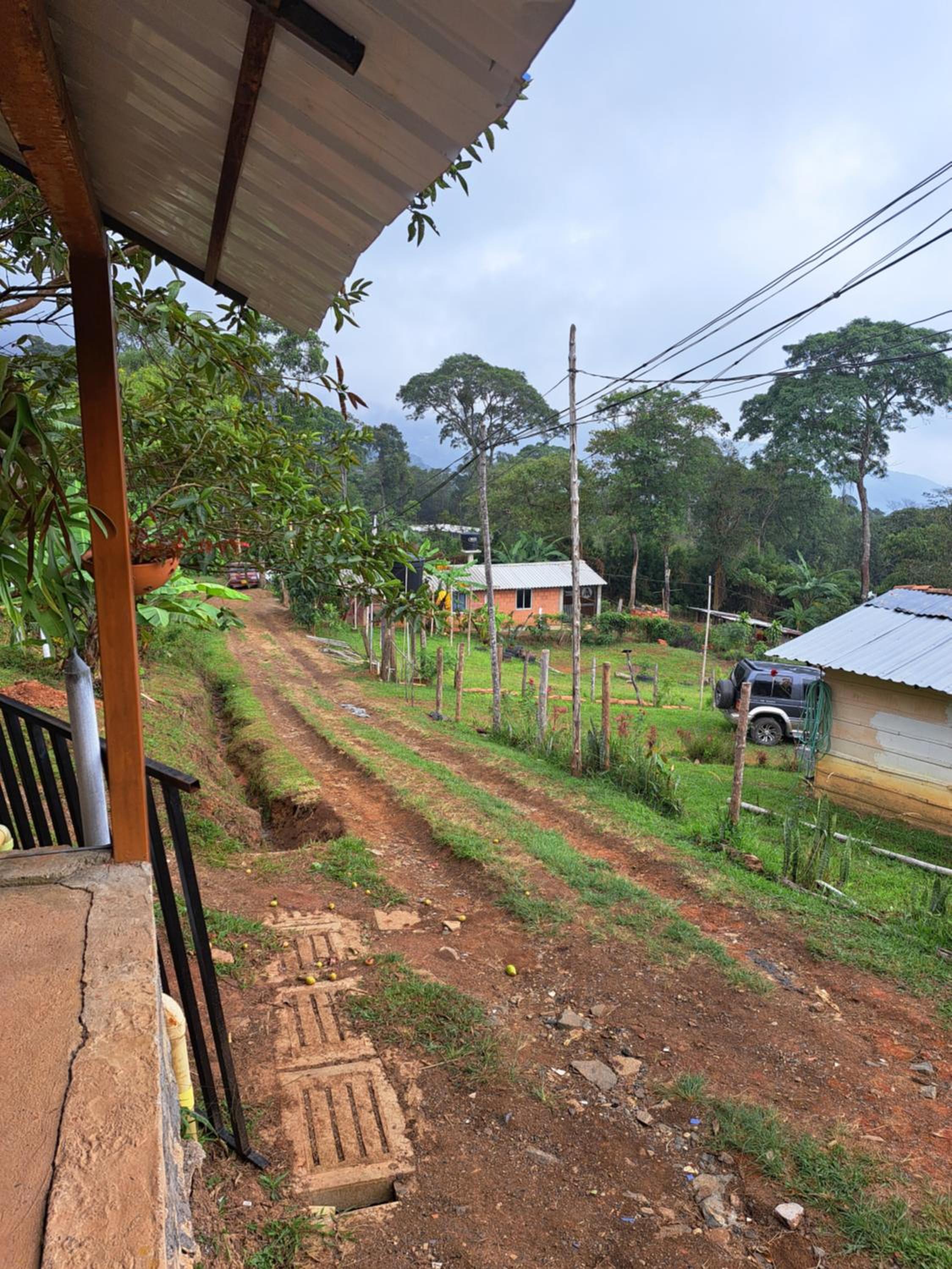 El rincón de blanquita
