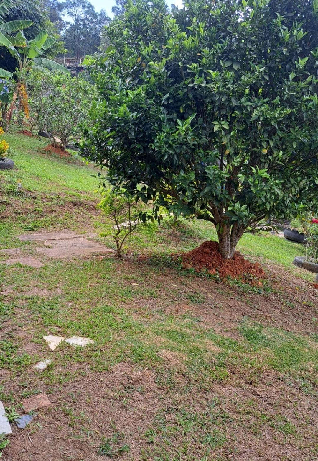 El rincón de blanquita