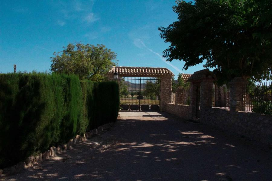 Cortijo de Abajo