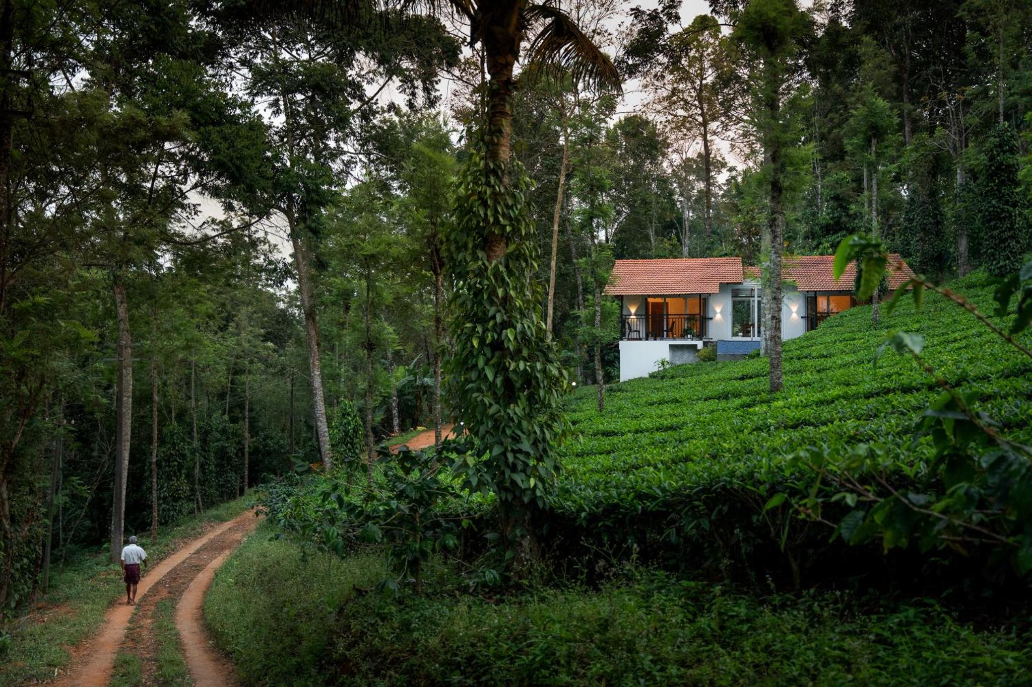 Tealawn Pool Villa, Munnar
