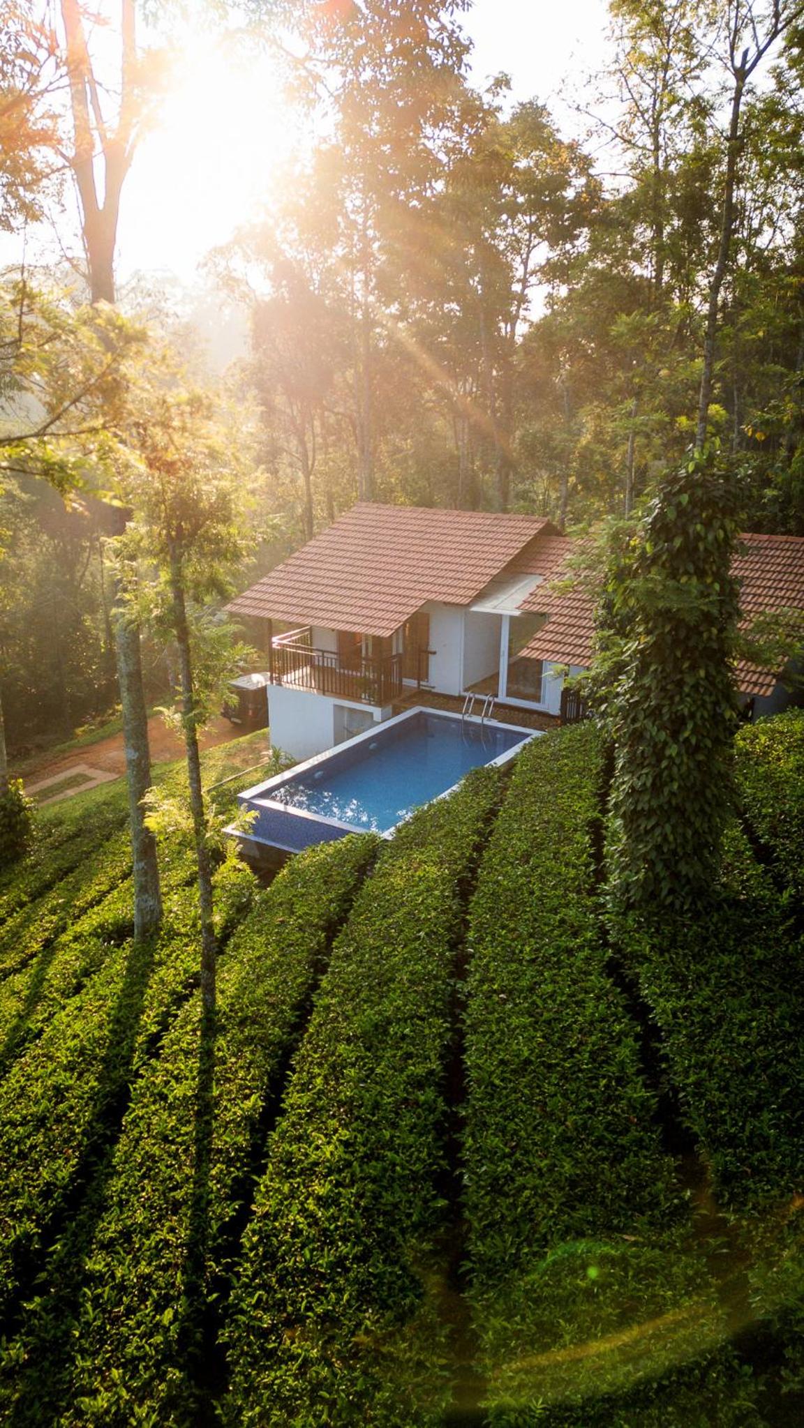 Tealawn Pool Villa, Munnar