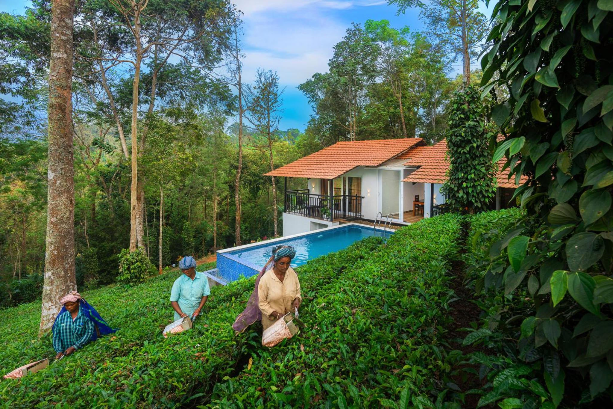 Tealawn Pool Villa, Munnar
