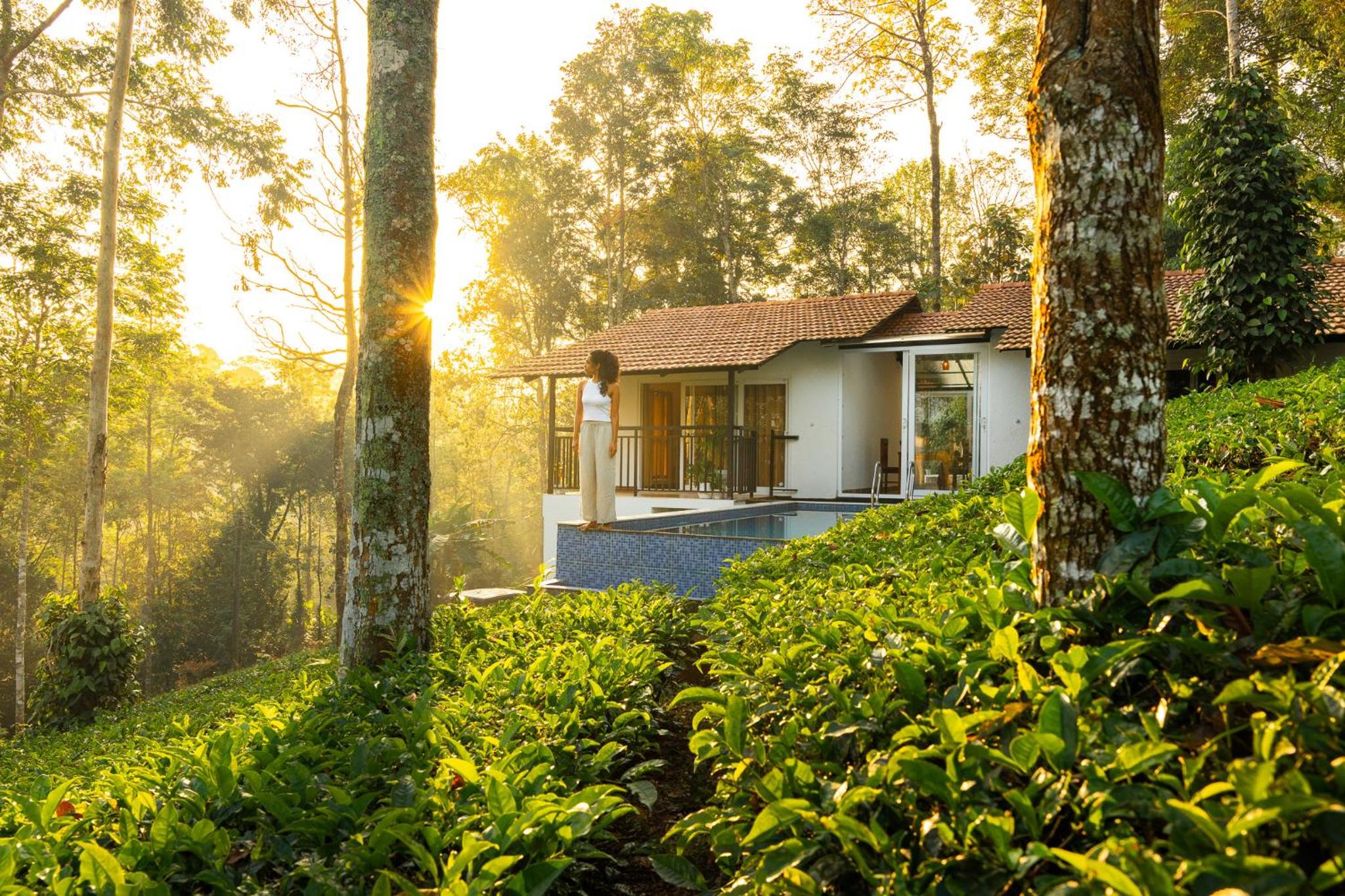Tealawn Pool Villa, Munnar
