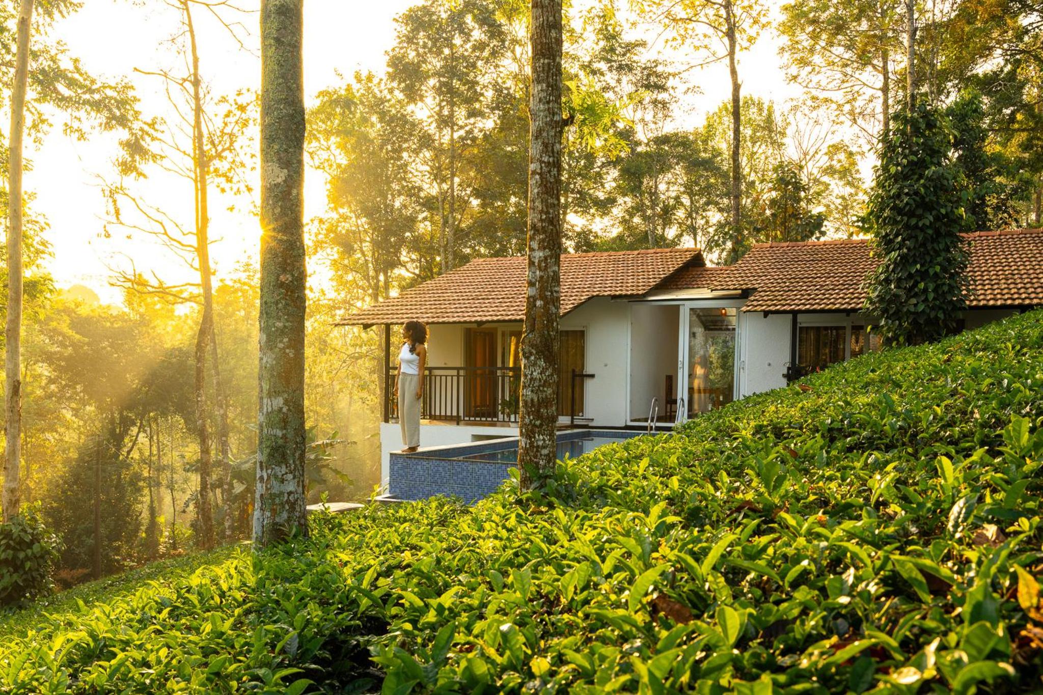 Tealawn Pool Villa, Munnar