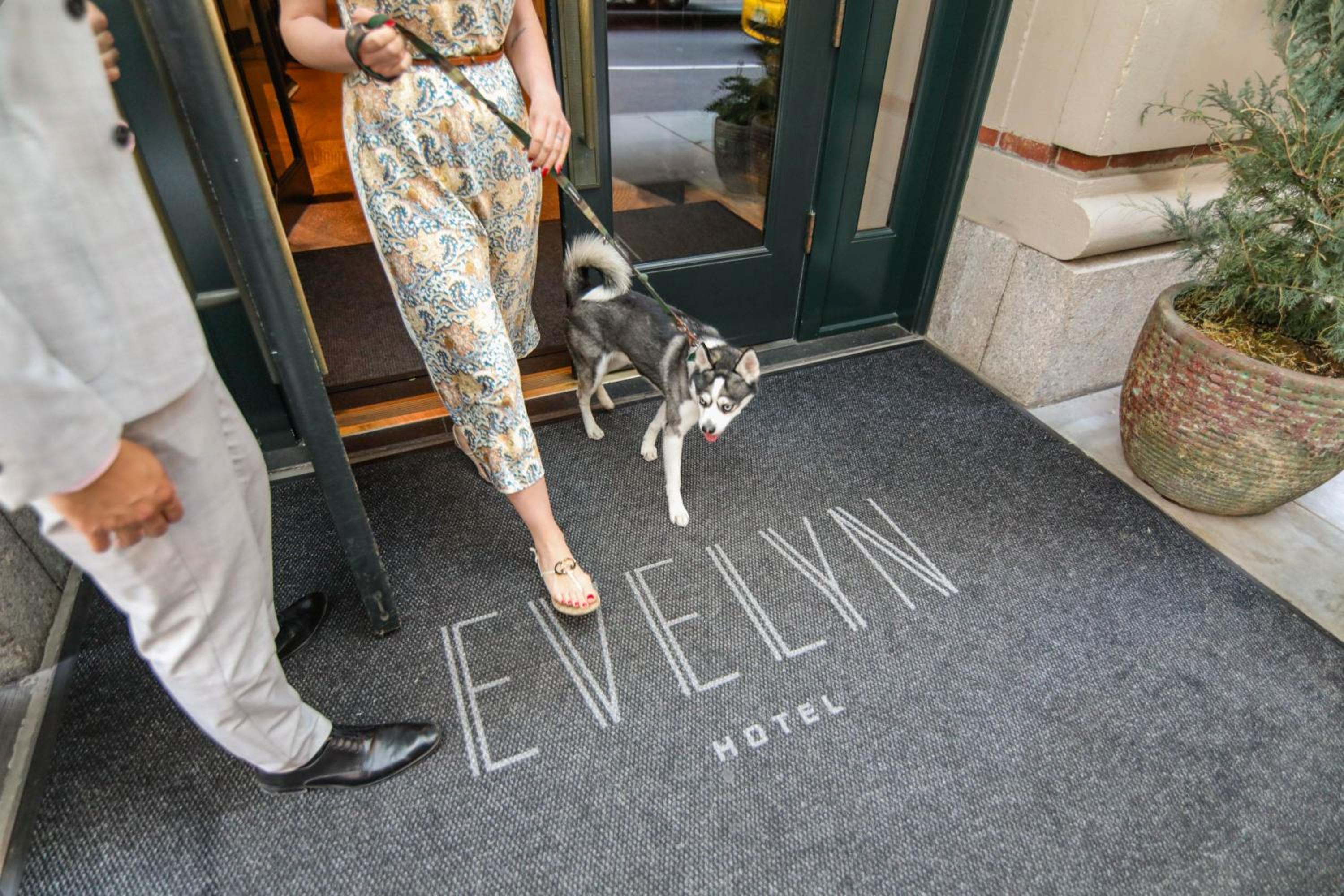 The Evelyn NoMad-2