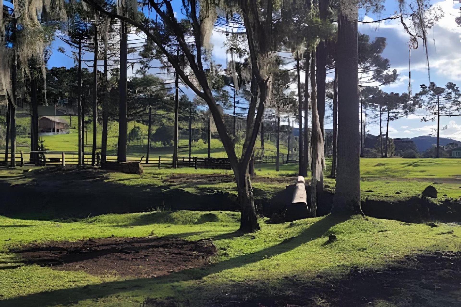 Cabana Pequeno Bosque som dás Águas
