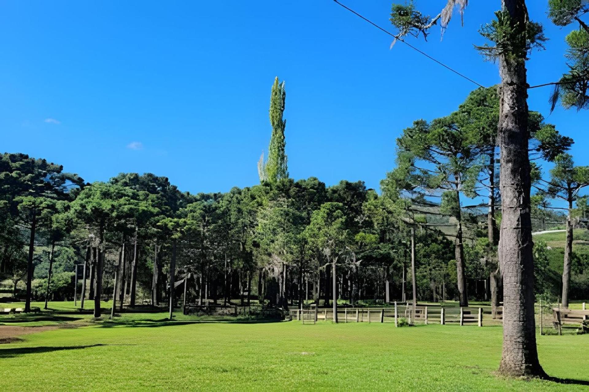 Cabana Pequeno Bosque som dás Águas