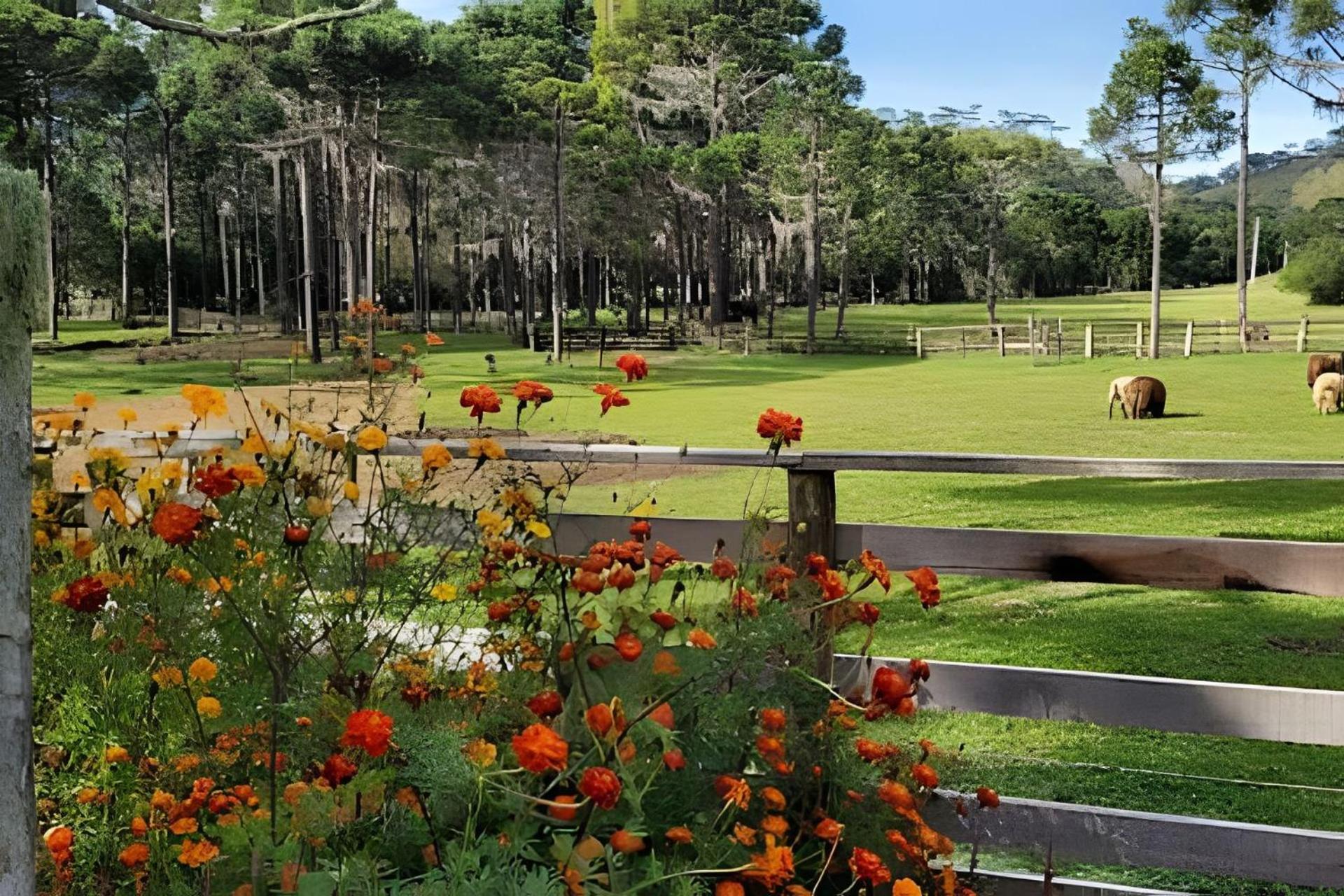 Cabana Pequeno Bosque som dás Águas