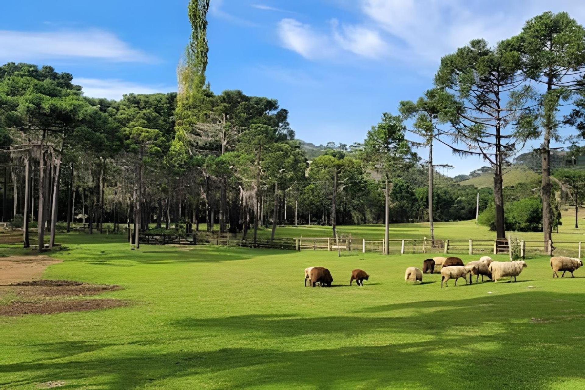 Cabana Pequeno Bosque som dás Águas