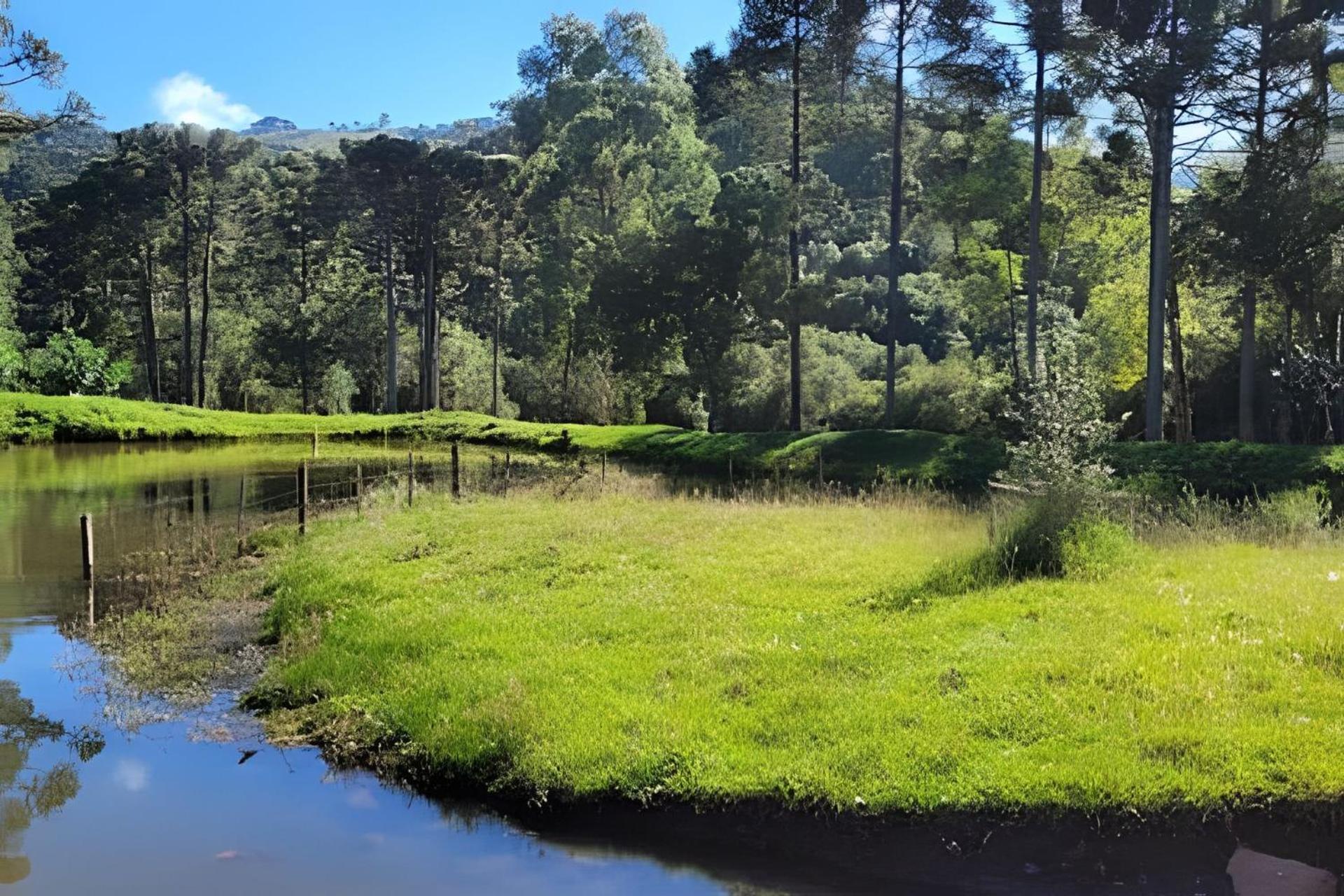 Cabana Pequeno Bosque som dás Águas