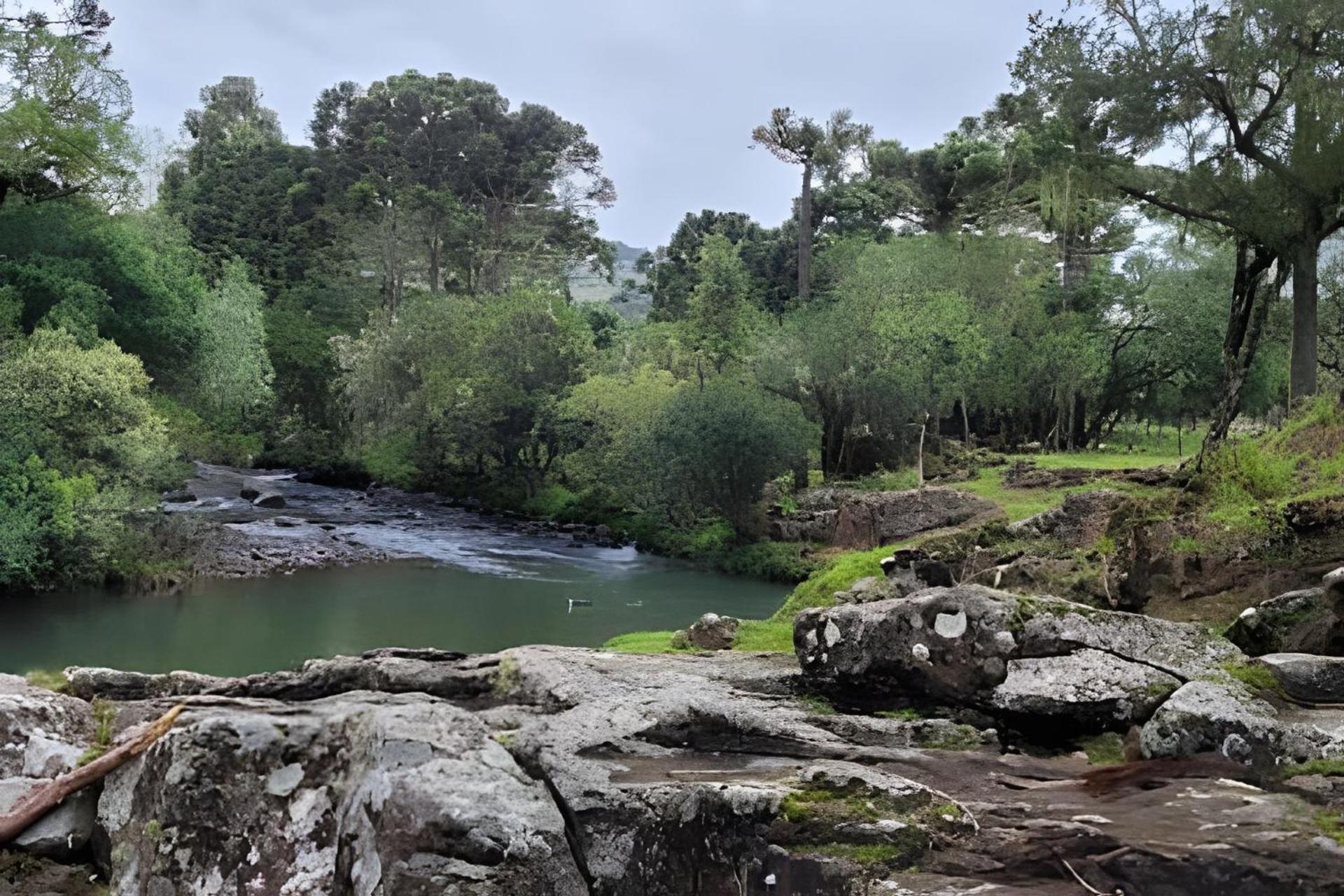 Cabana Pequeno Bosque som dás Águas