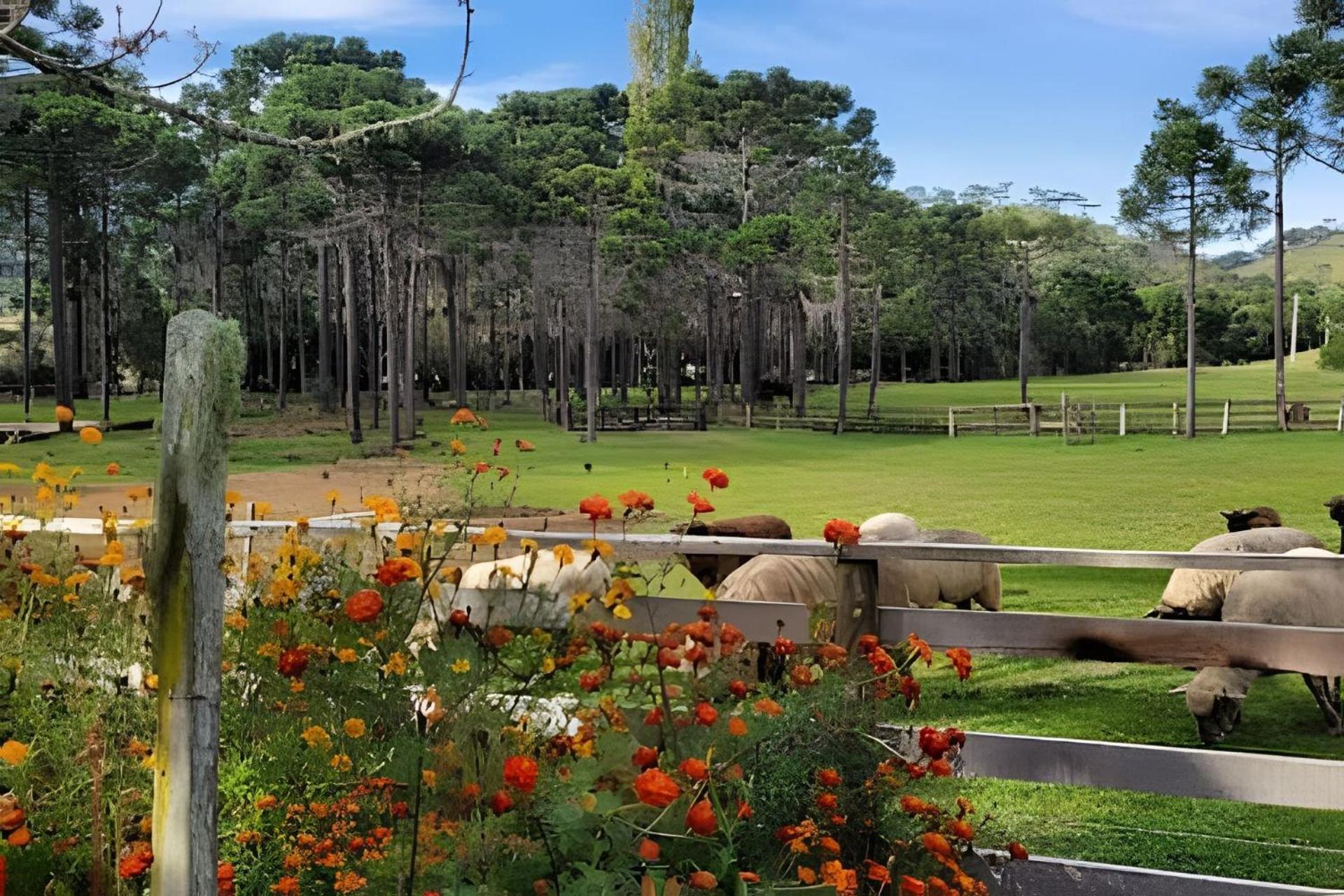 Cabana Pequeno Bosque som dás Águas