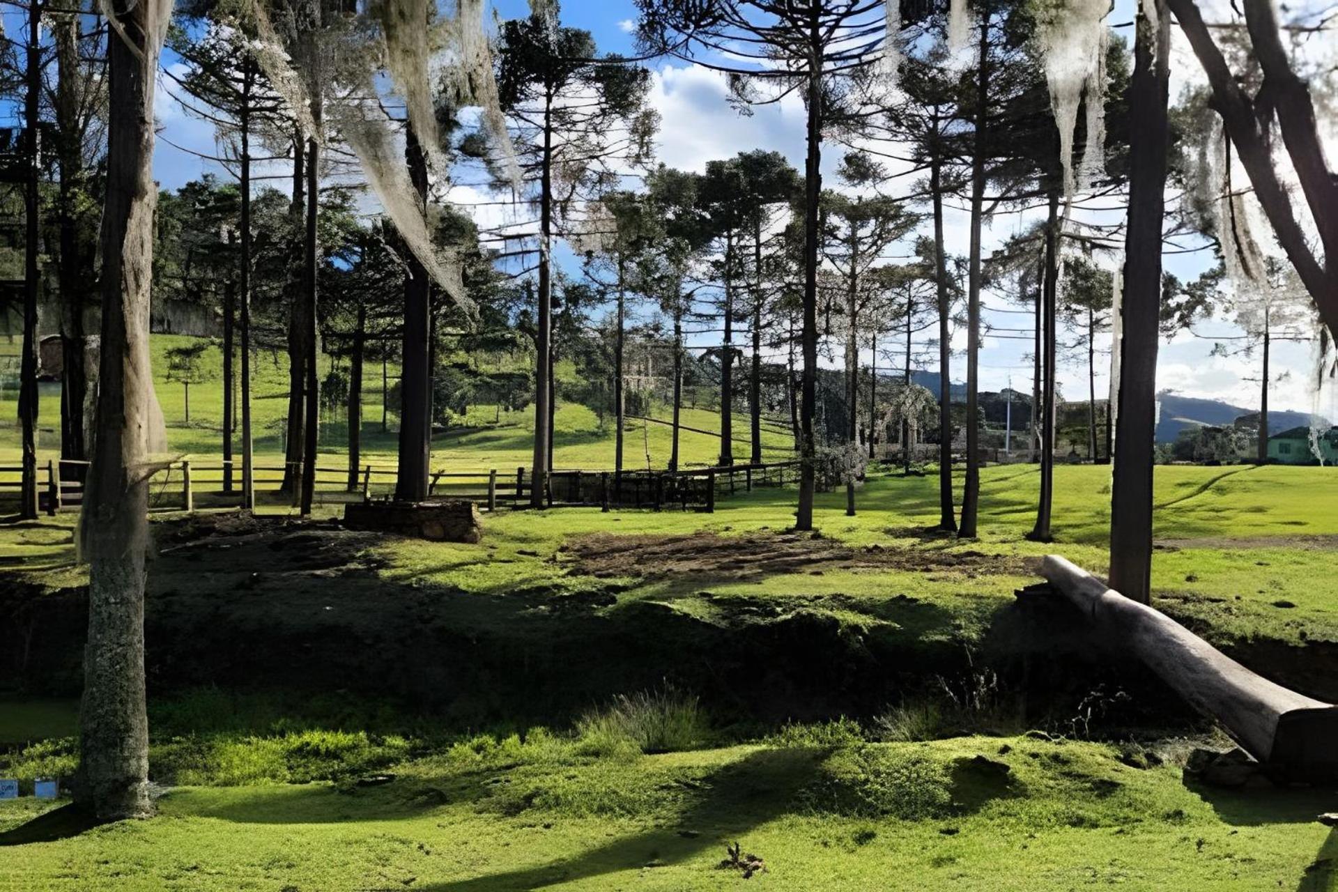Cabana Pequeno Bosque som dás Águas