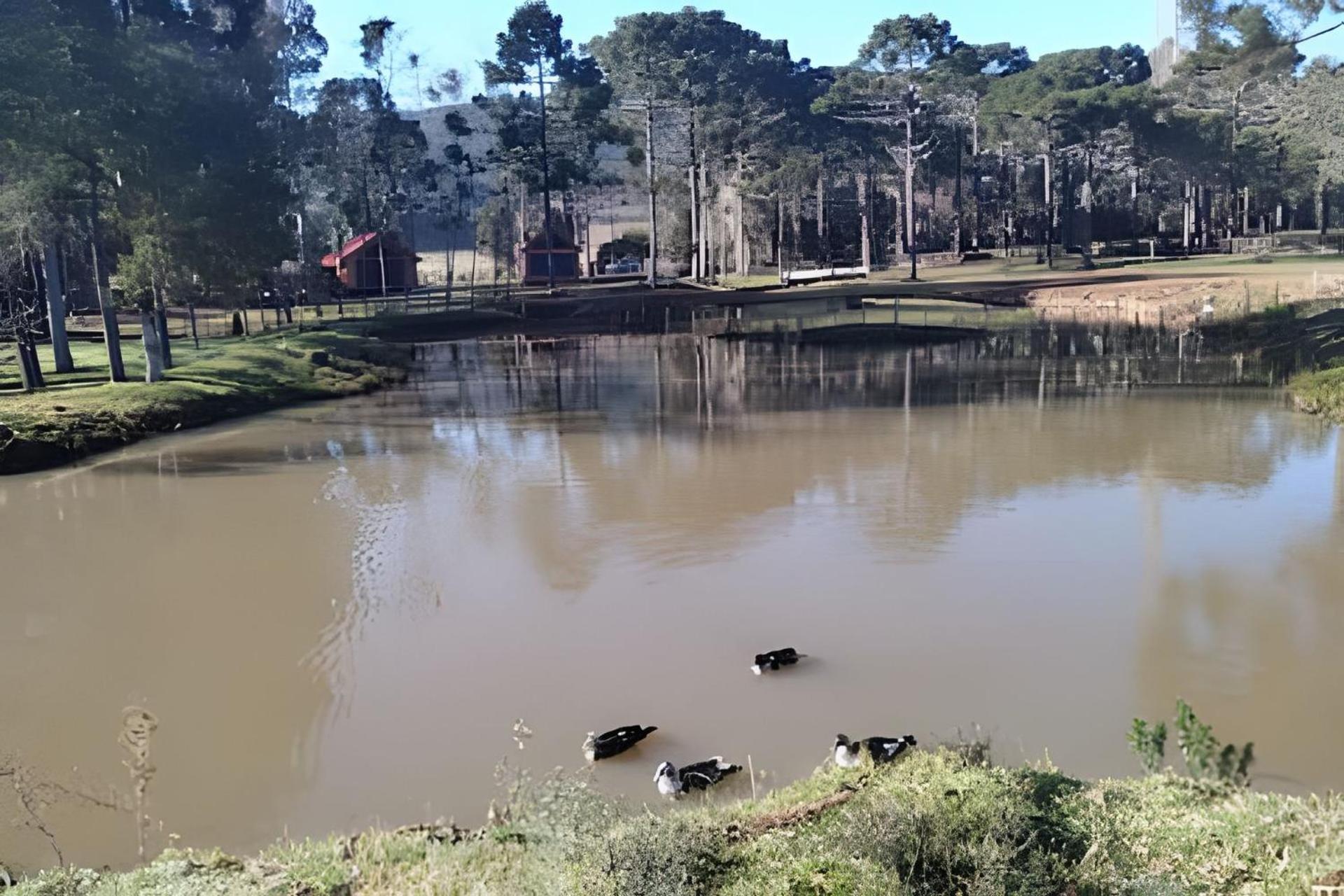 Cabana Pequeno Bosque som dás Águas