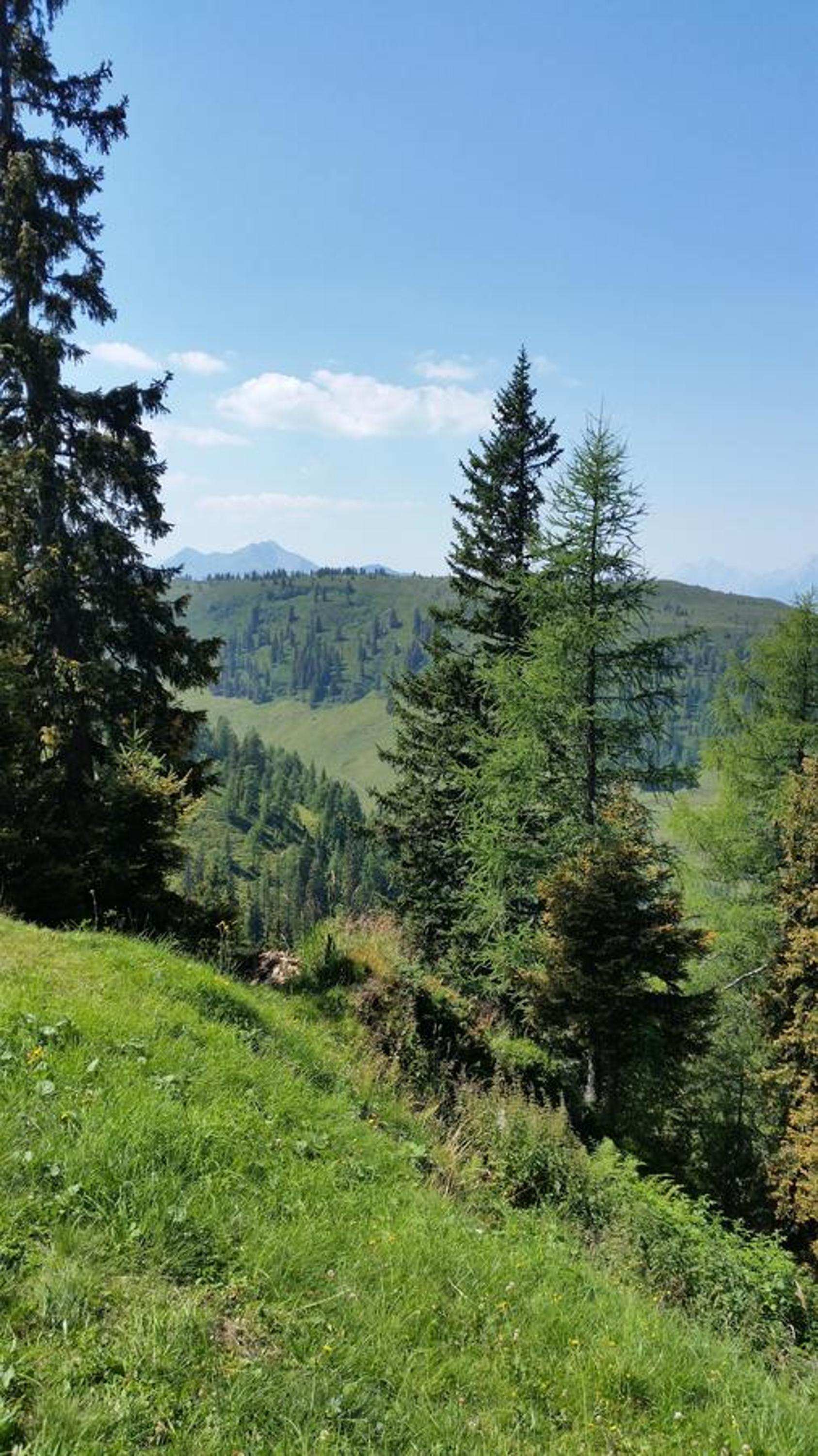 Hanslerfeld