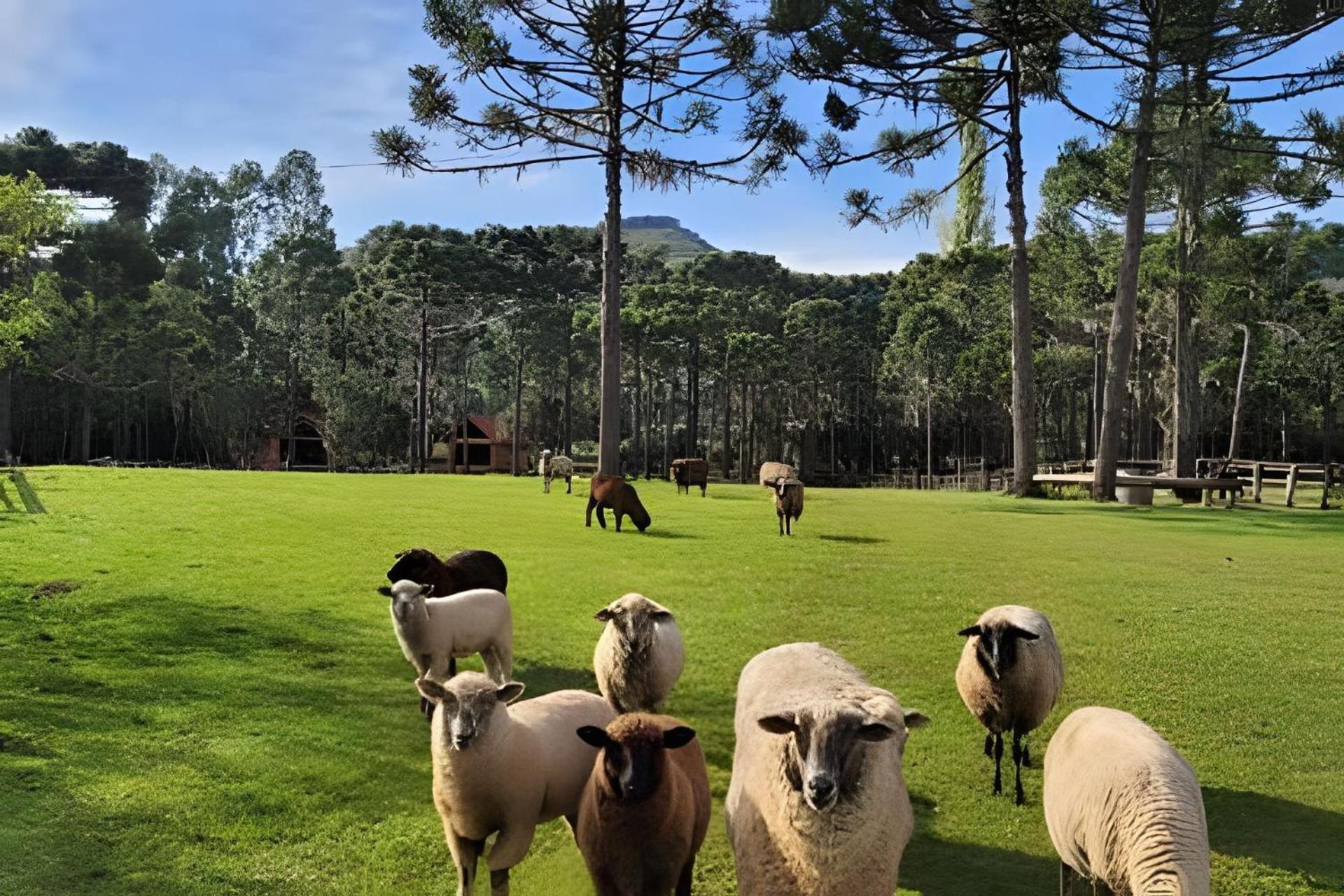 Vale das Montanhas