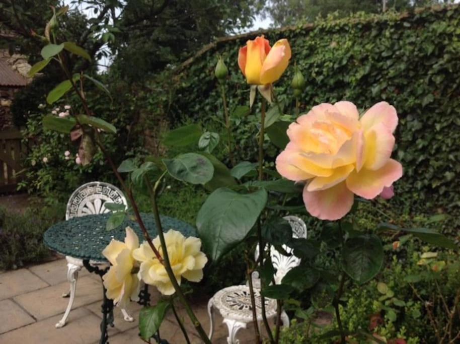 Photo 21