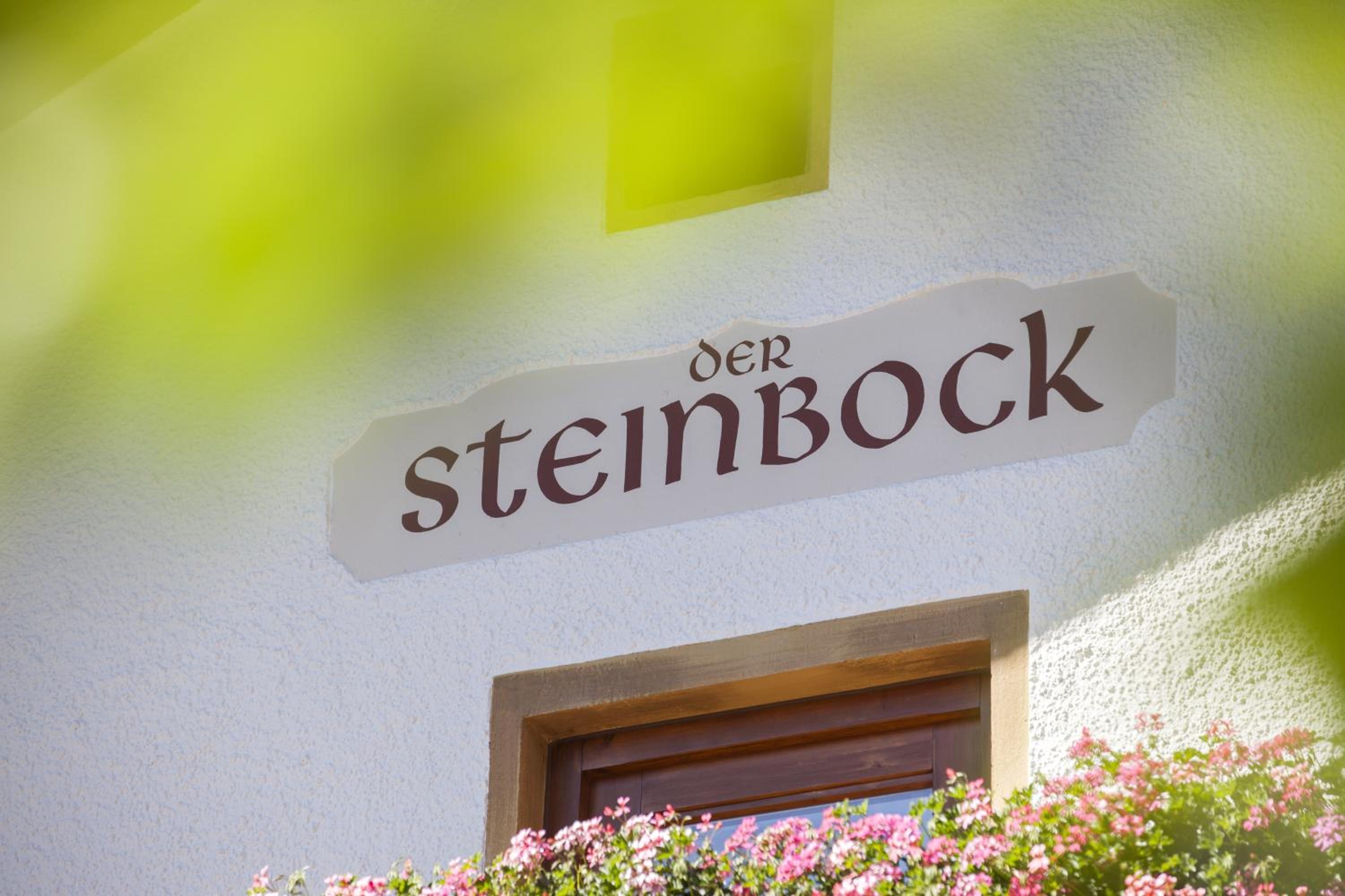 Pension der Steinbock - das 300 Jahre alte Bauernhaus - TIROL