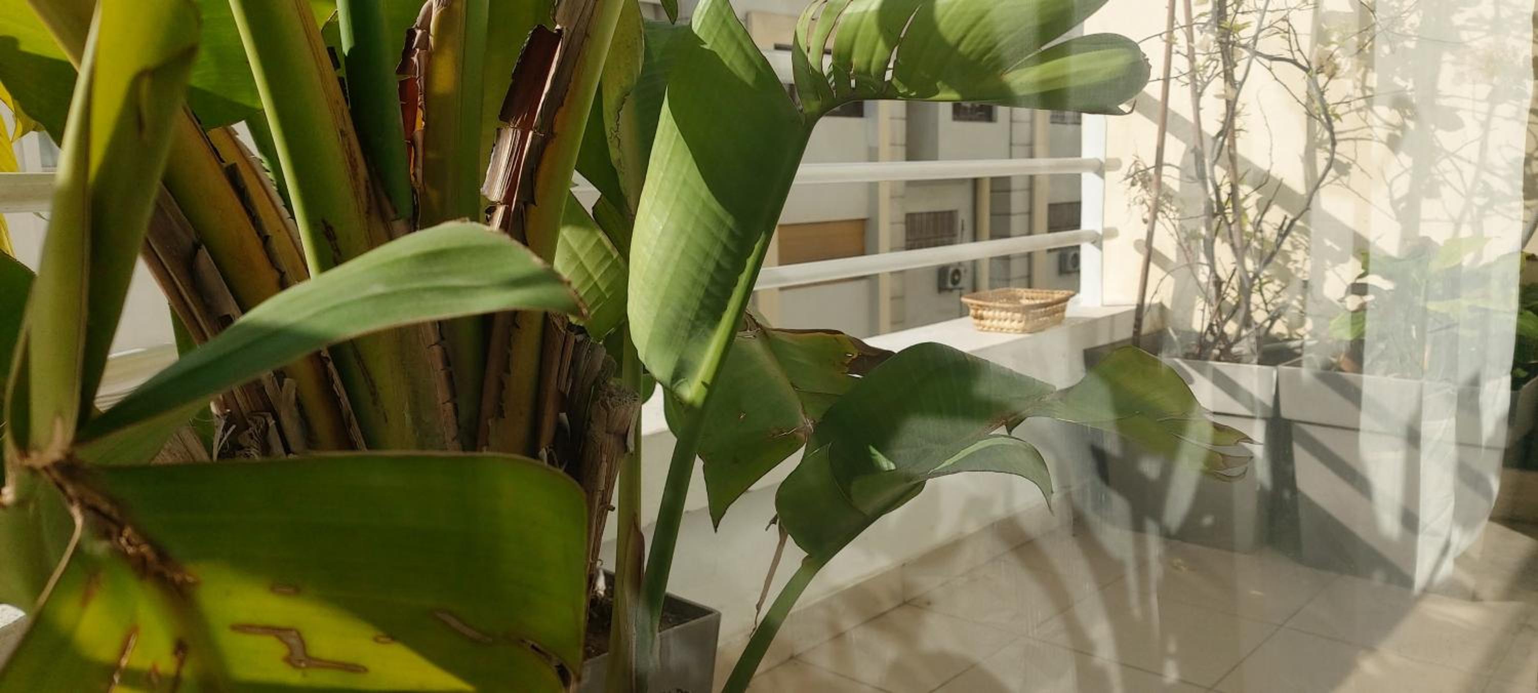 Comfortable 2BR Flat, Heart of Maarif, Fiber WiFi & Parking