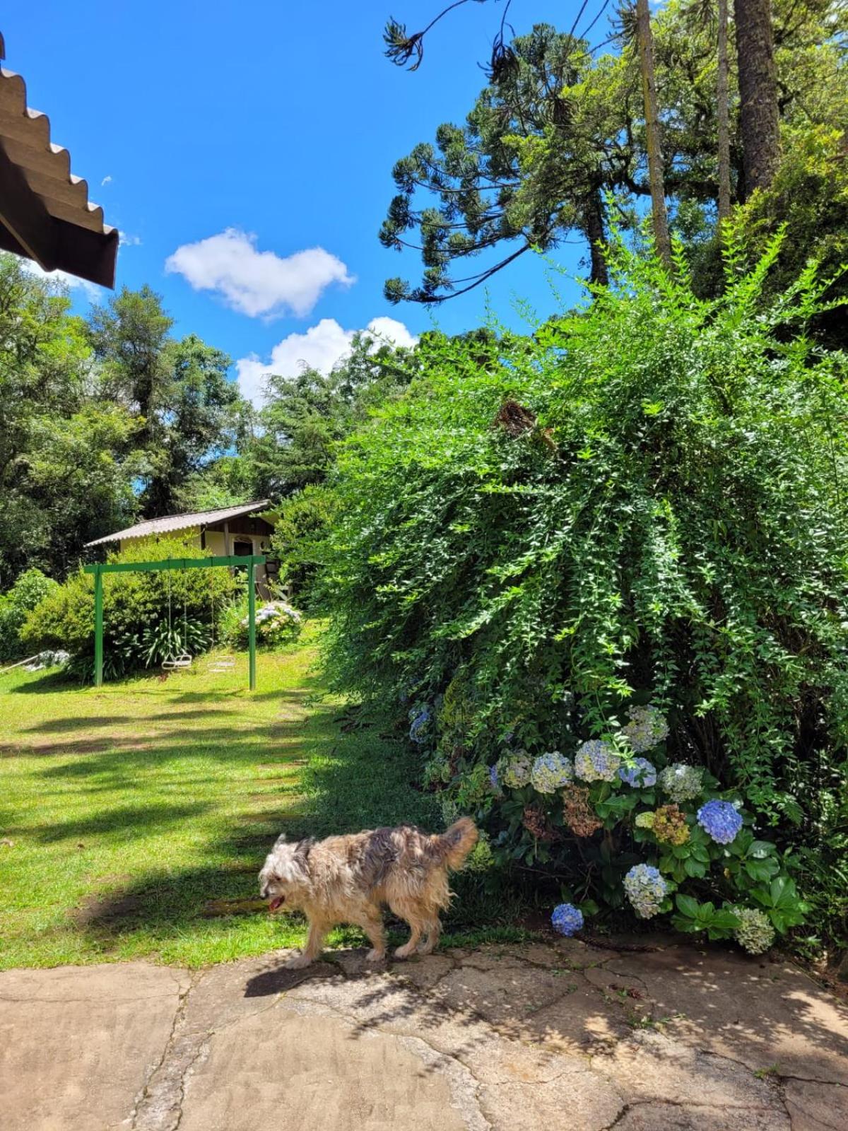 Casa em Campos do Jordão - 3 quartos, com churrasqueira