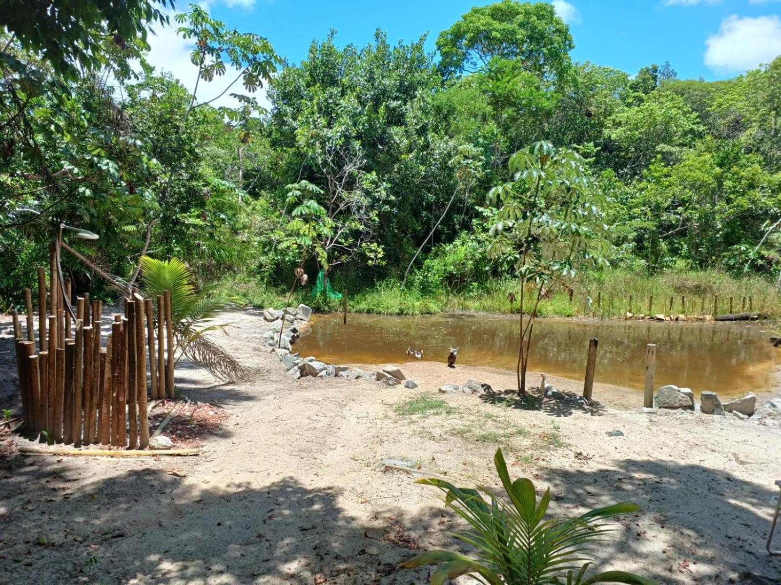 RECANTO DO SENTIR, conexão com a natureza e muita paz.
