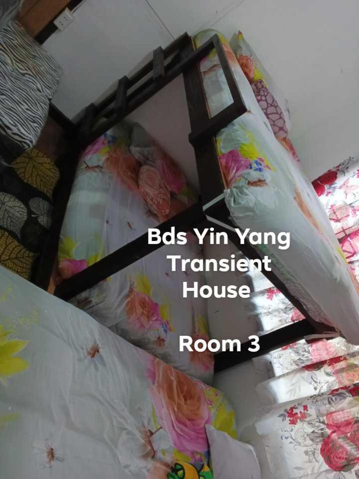 BDS Yin Yang Transient House view 5