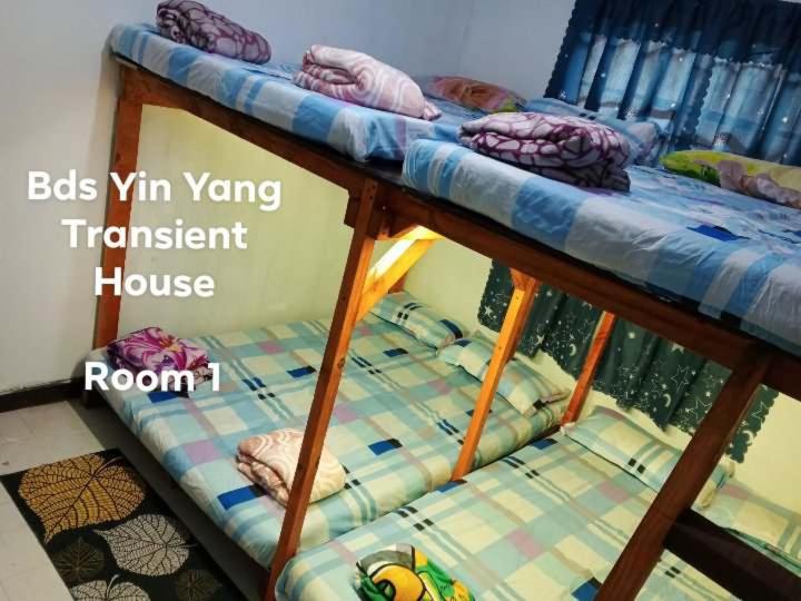 BDS Yin Yang Transient House view 3