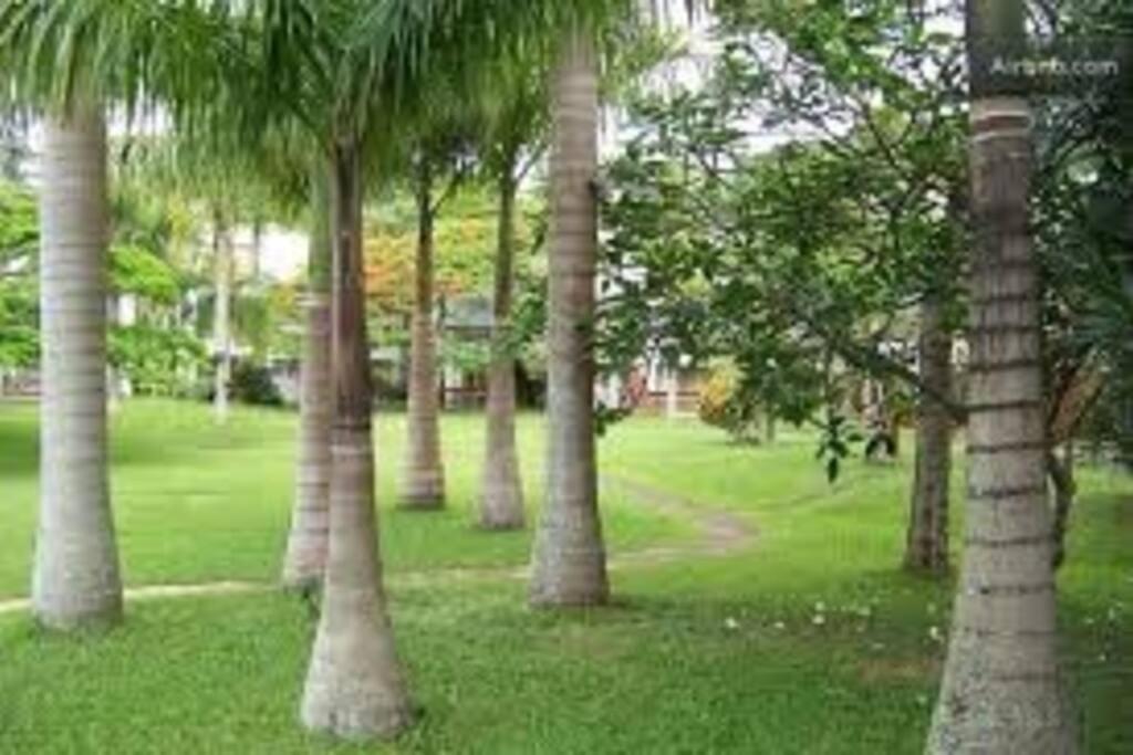 Depto con salida privada a playa y amenities