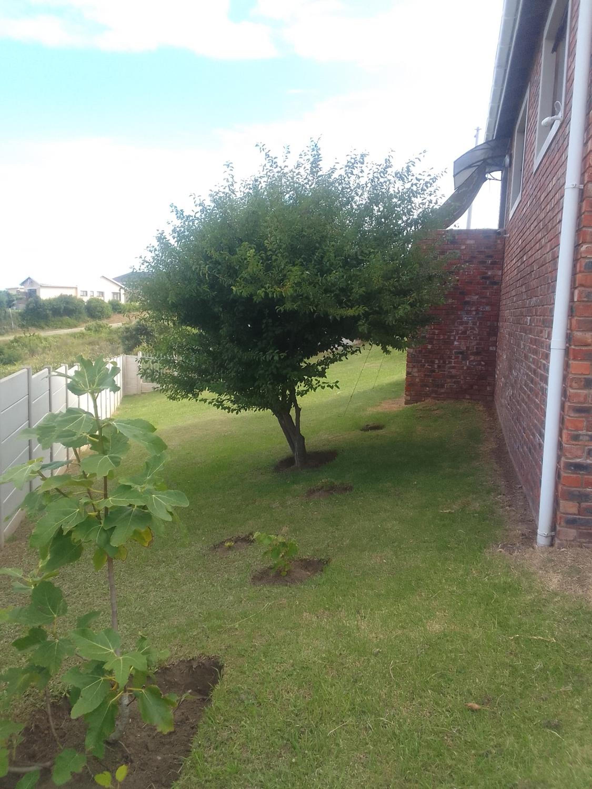 Green Pastures view 5