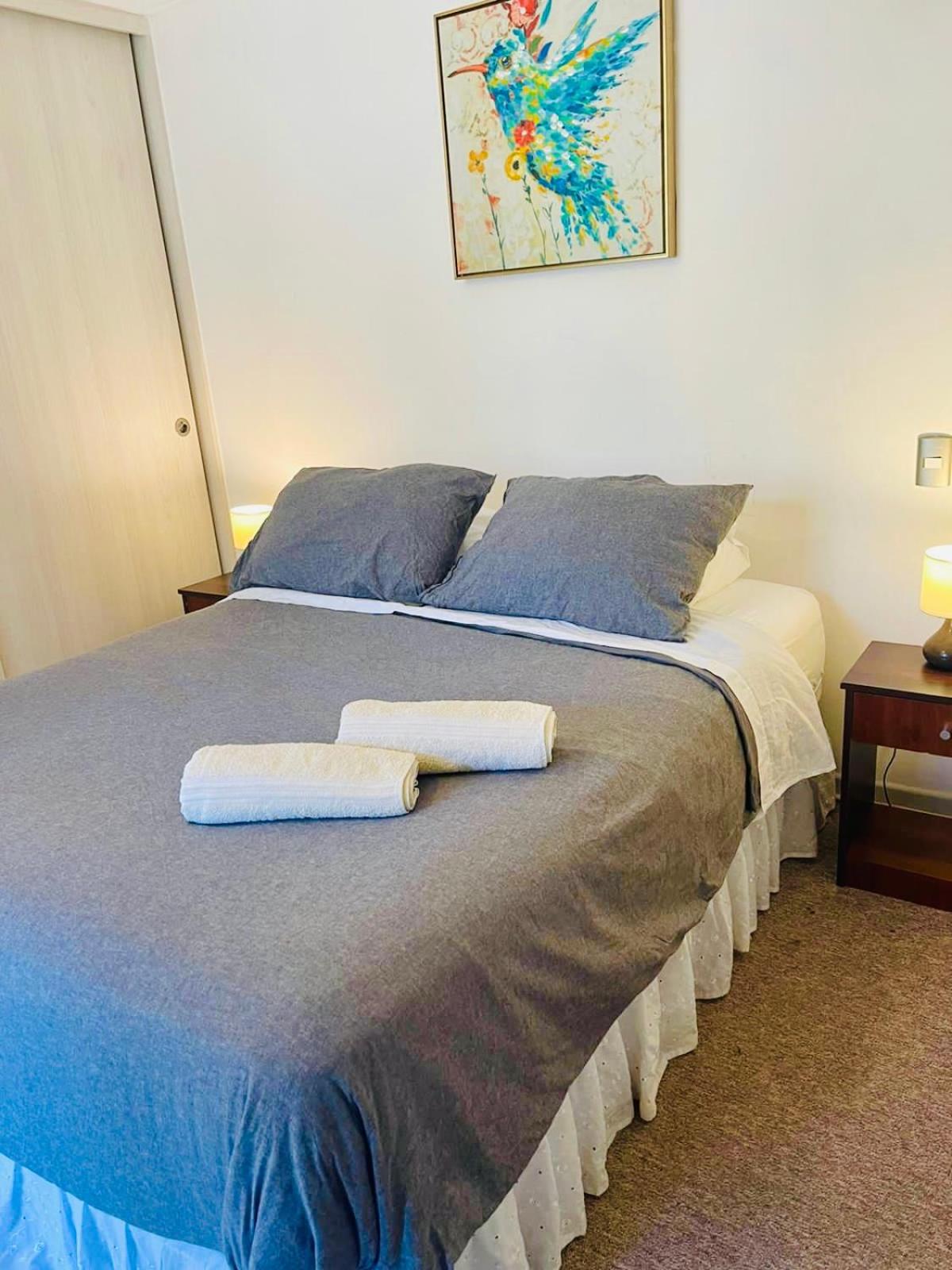Apartamentos Alma Surire