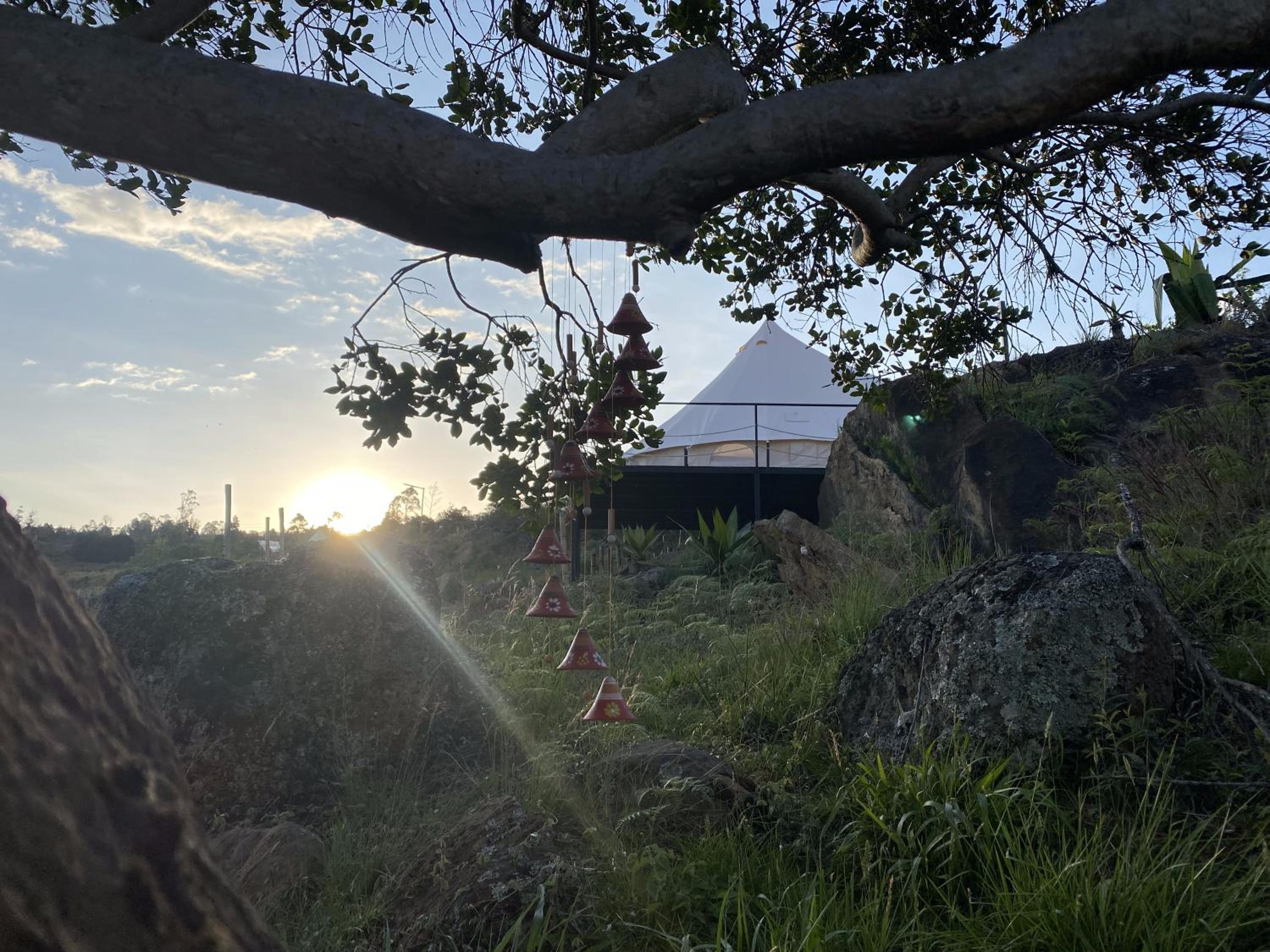 Iraca Glamp