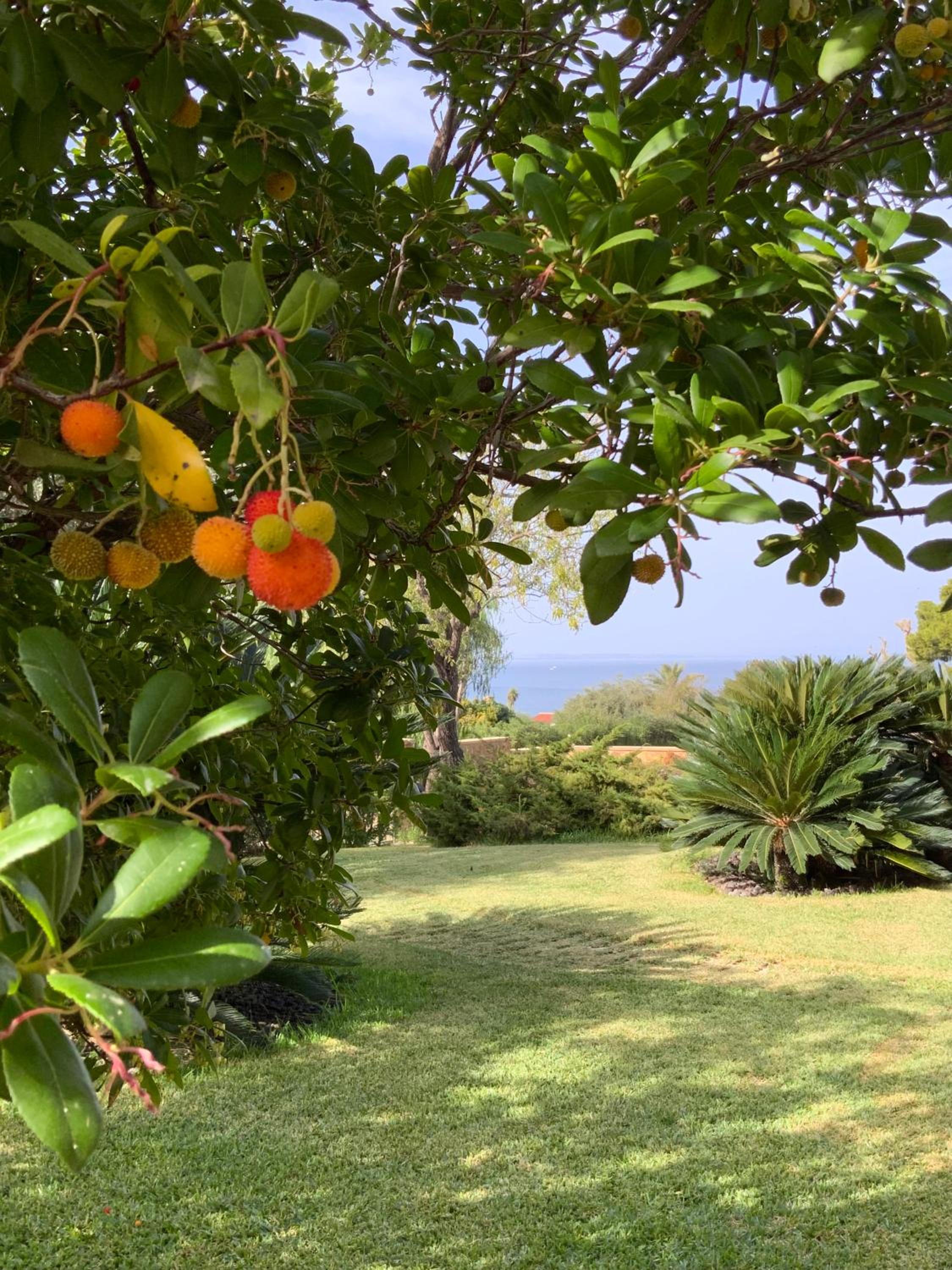 Villa Magnolia
