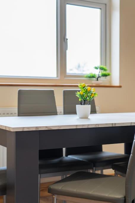 Professionals,Contractors,Family